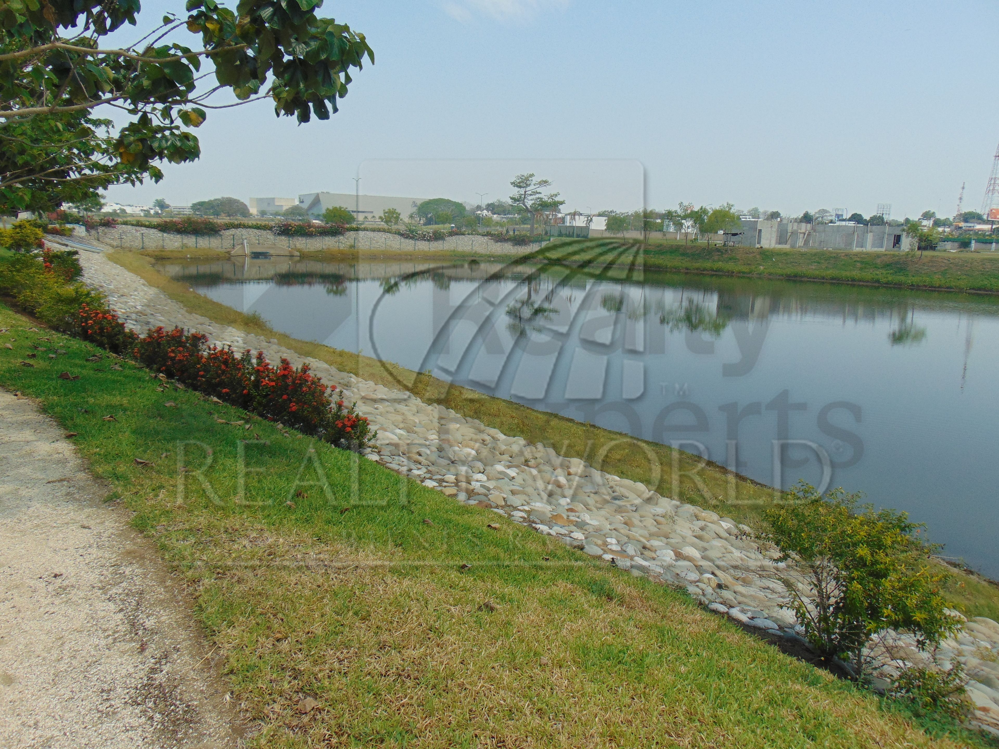 Terreno en Venta en Plutarco Elias Calles Cura Hueso