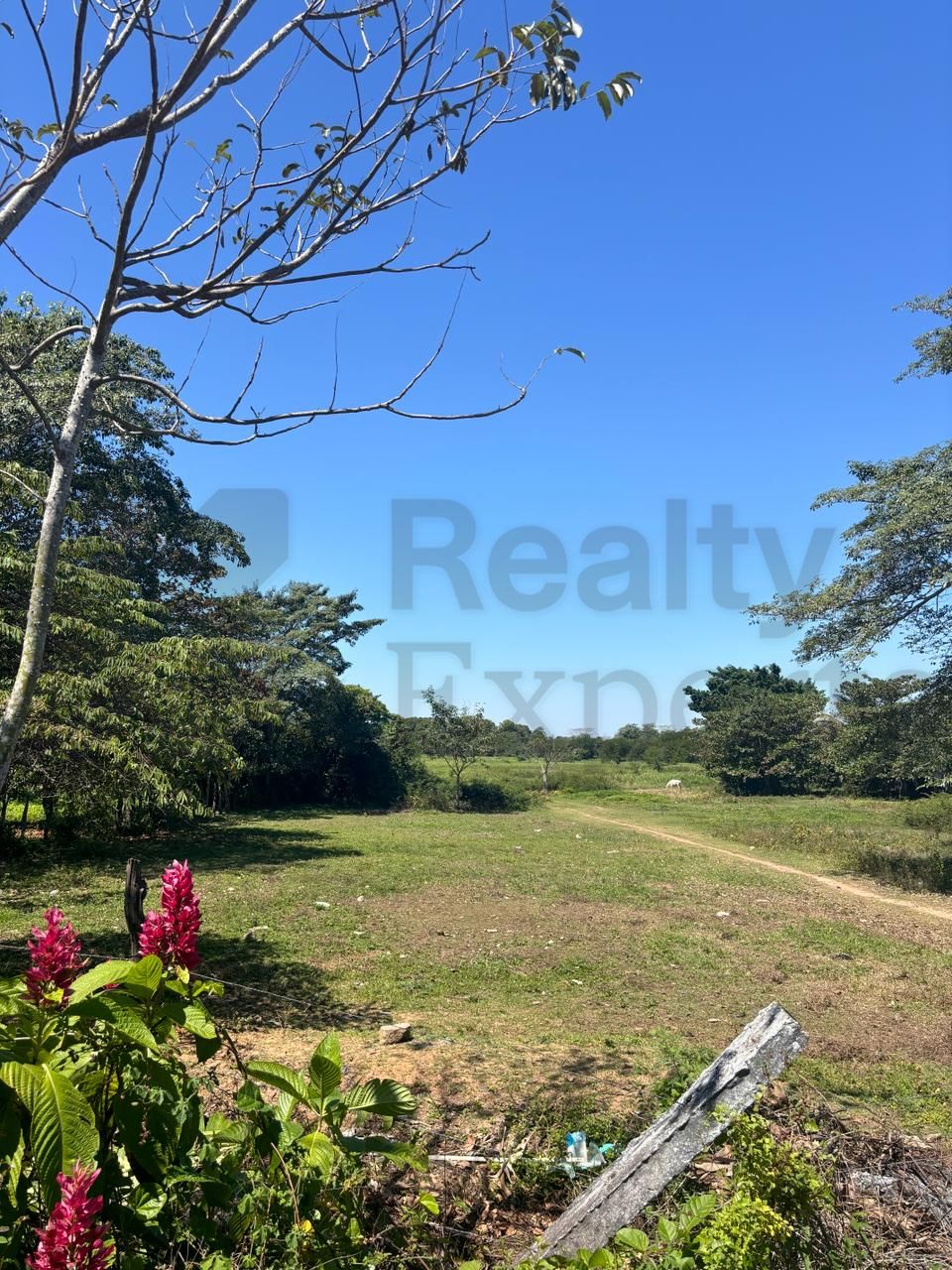 Rancho en Venta en Playas Del Rosario