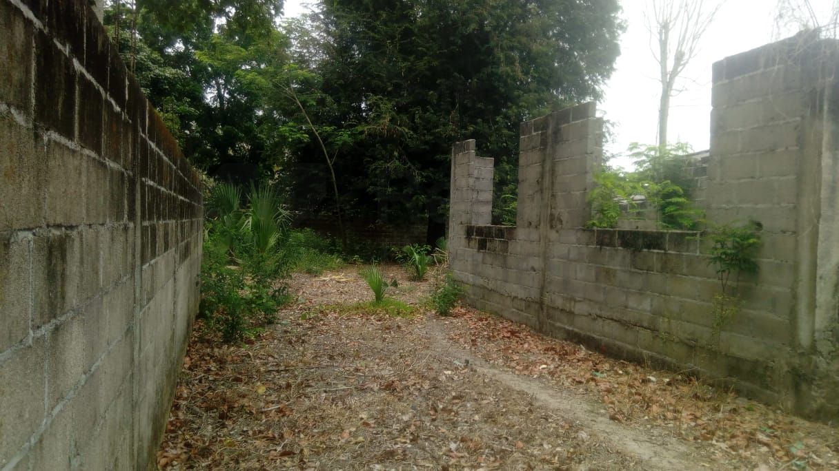 Terreno en Venta en Jalupa