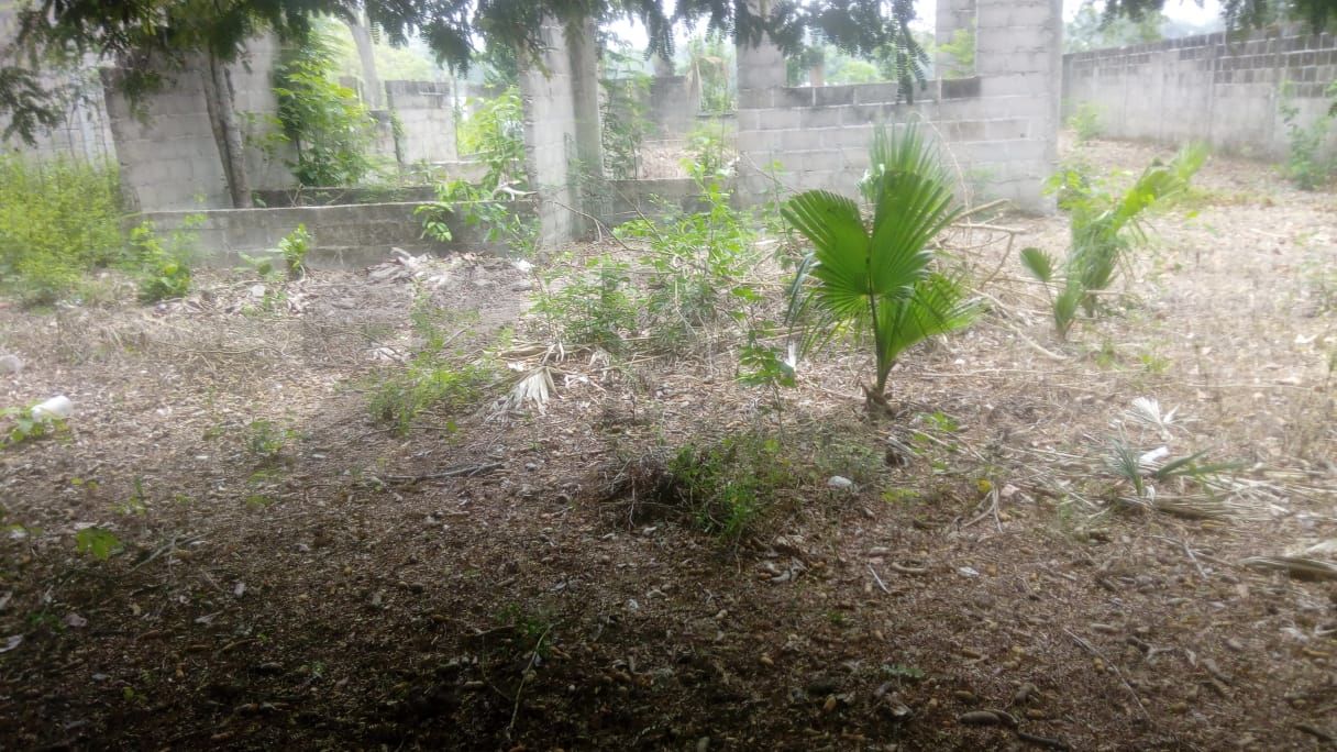 Terreno en Venta en Jalupa