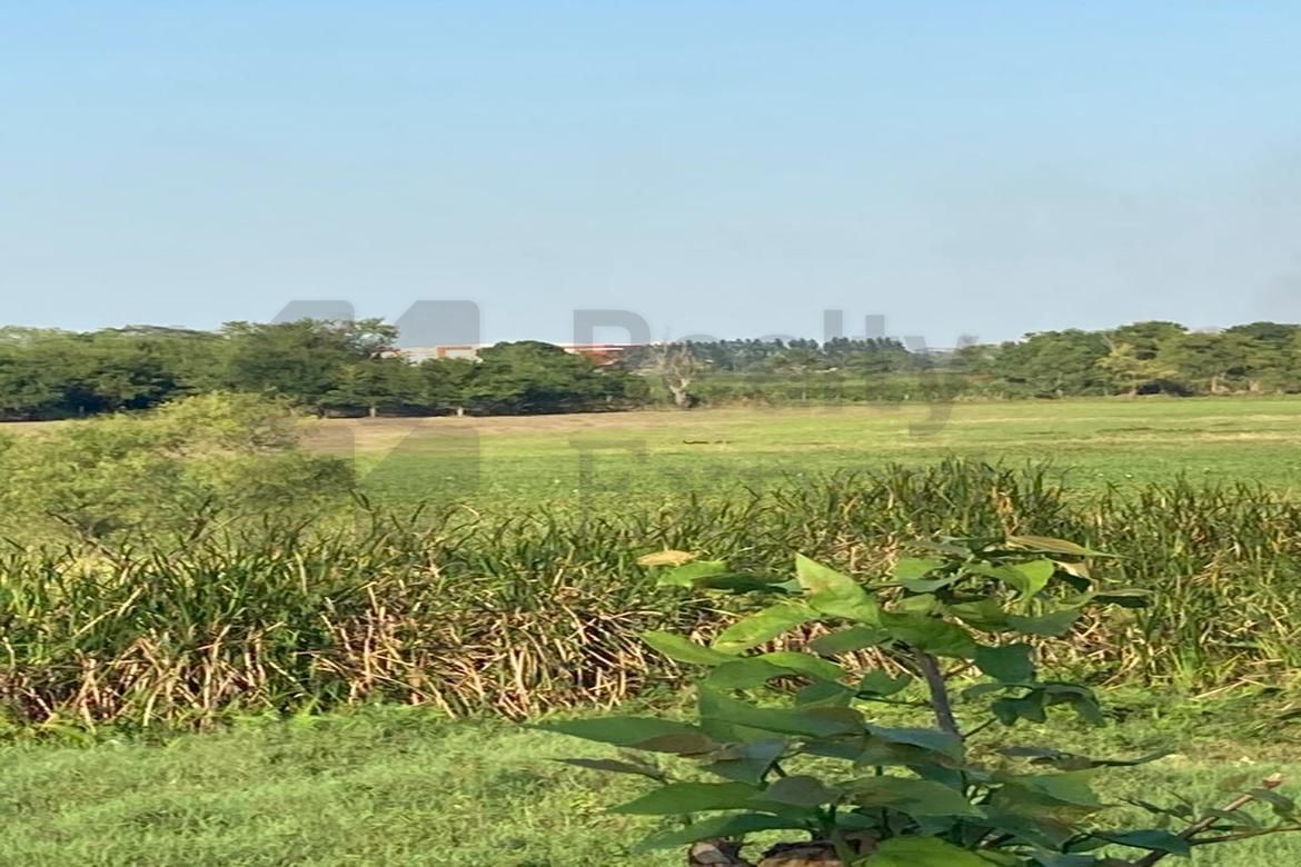 Terreno en Venta en Lázaro Cárdenas 1a Sección