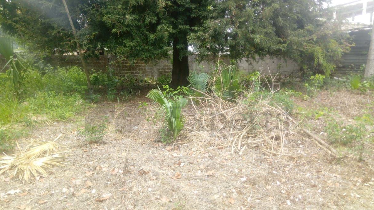 Terreno en Venta en Jalupa