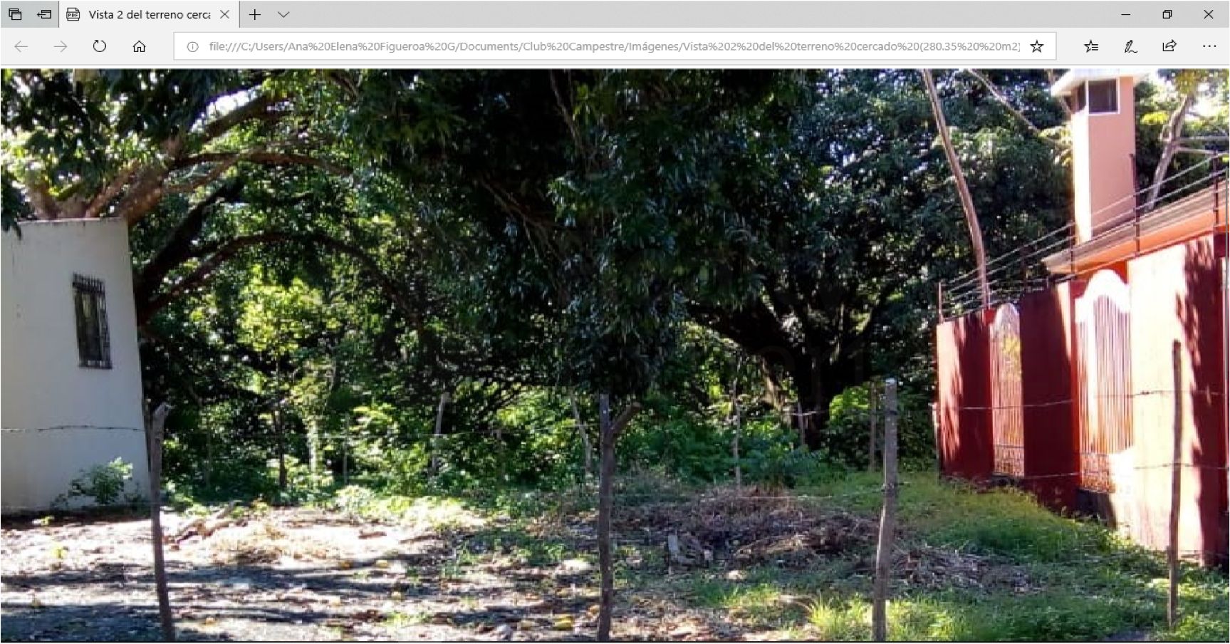 Property