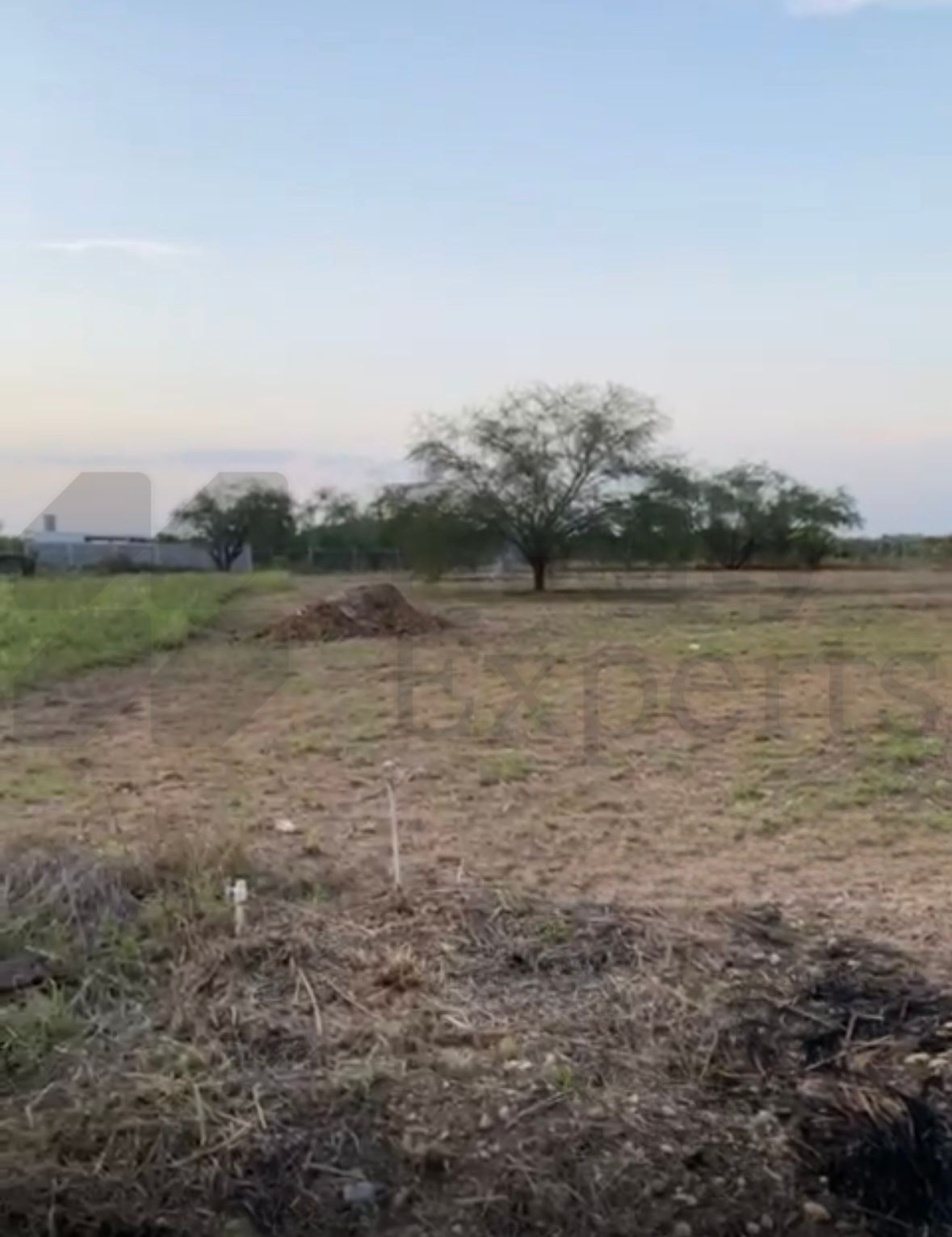 Terreno en Venta en Montemorelos