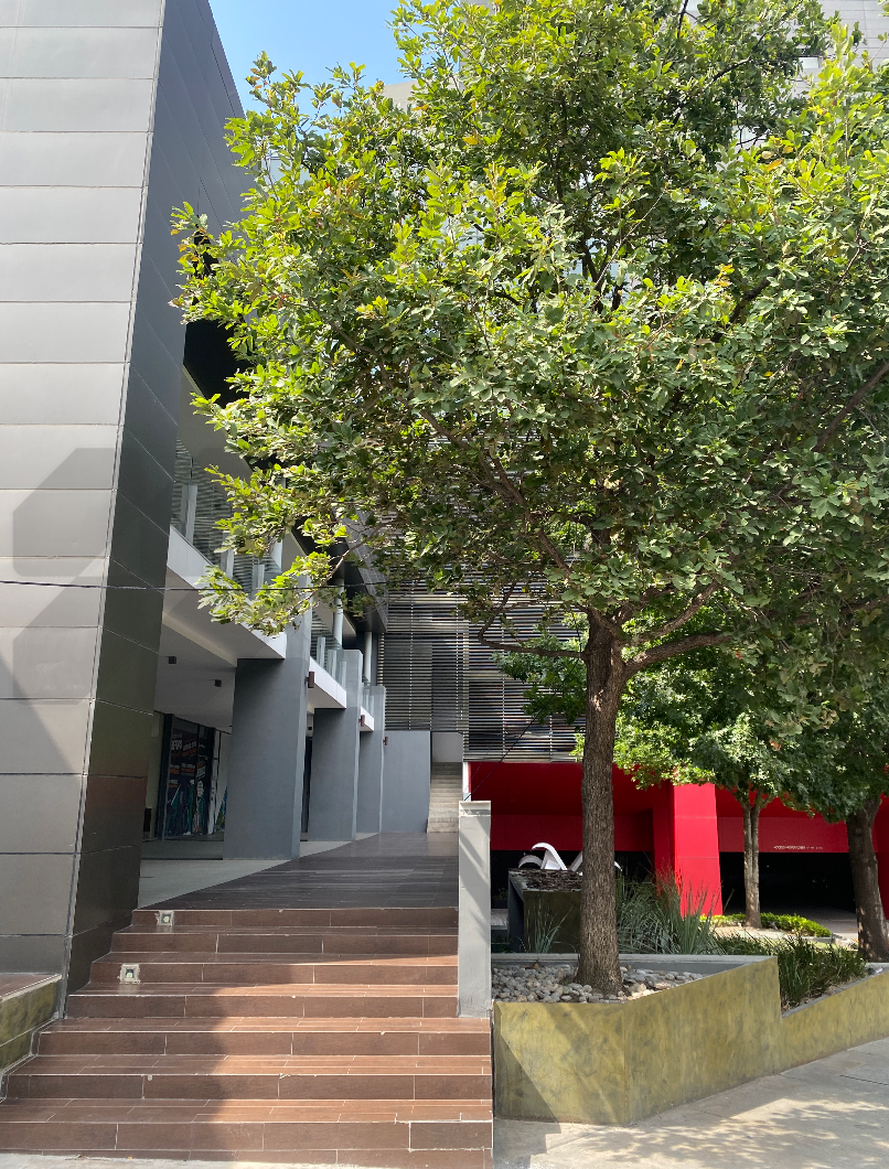 Local en Venta en Connexity