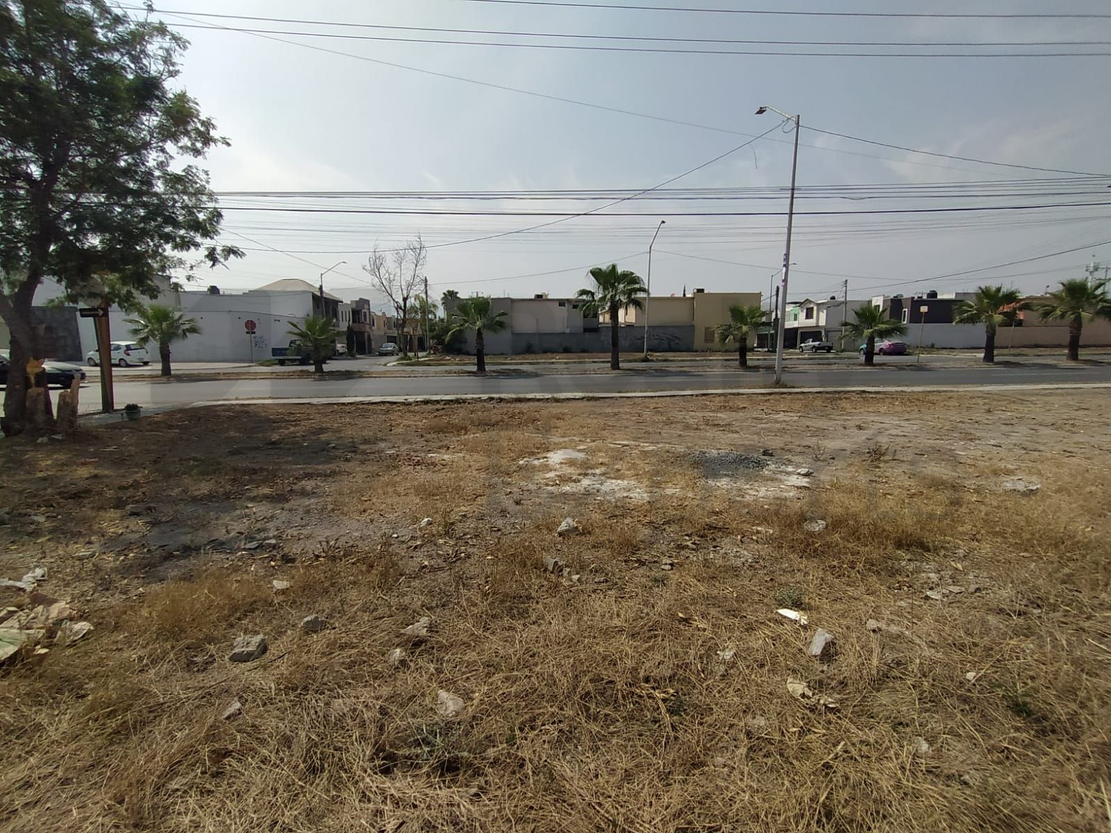 Terreno en Renta en Valle de las Palmas III