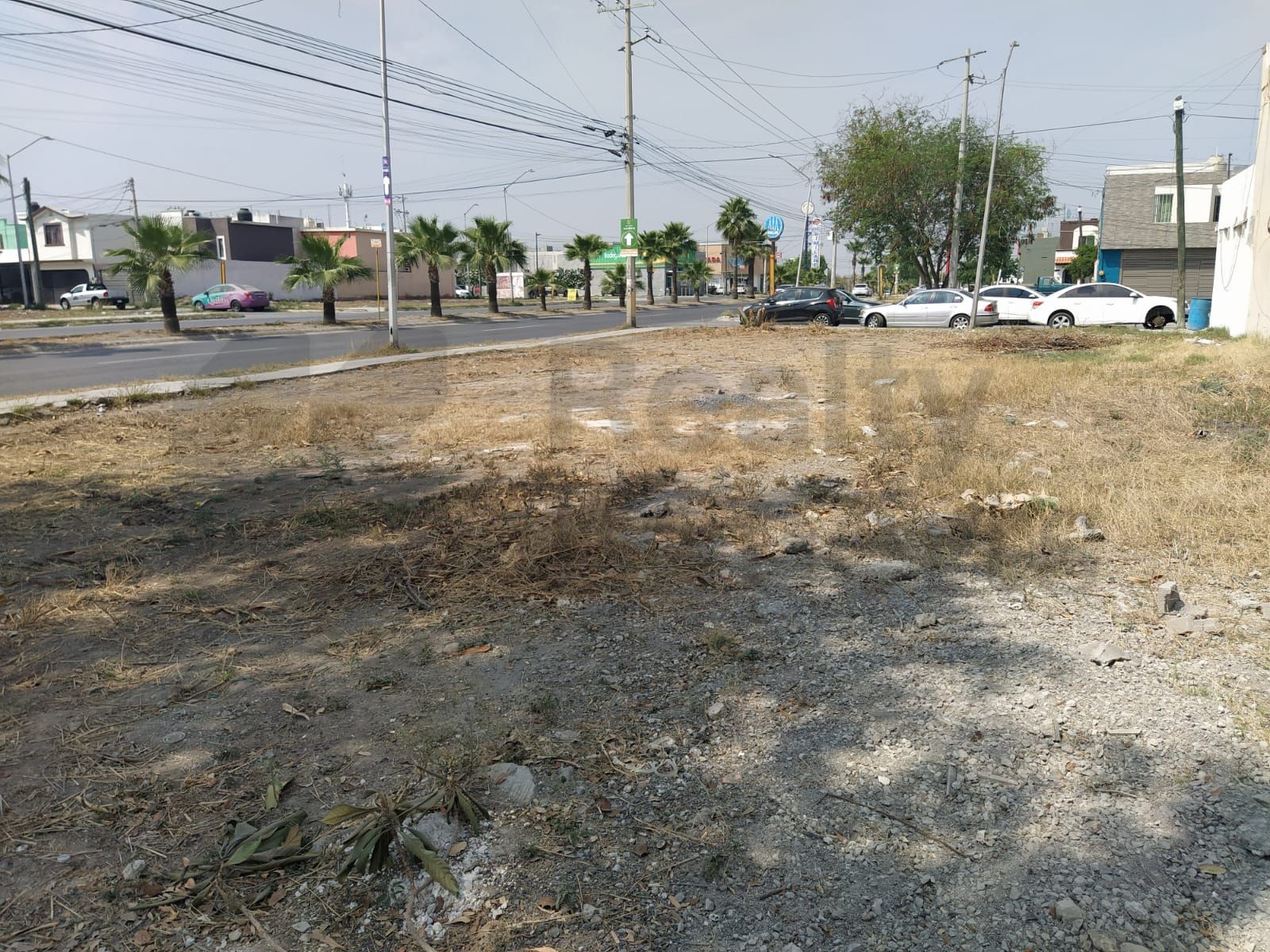 Terreno en Renta en Valle de las Palmas III