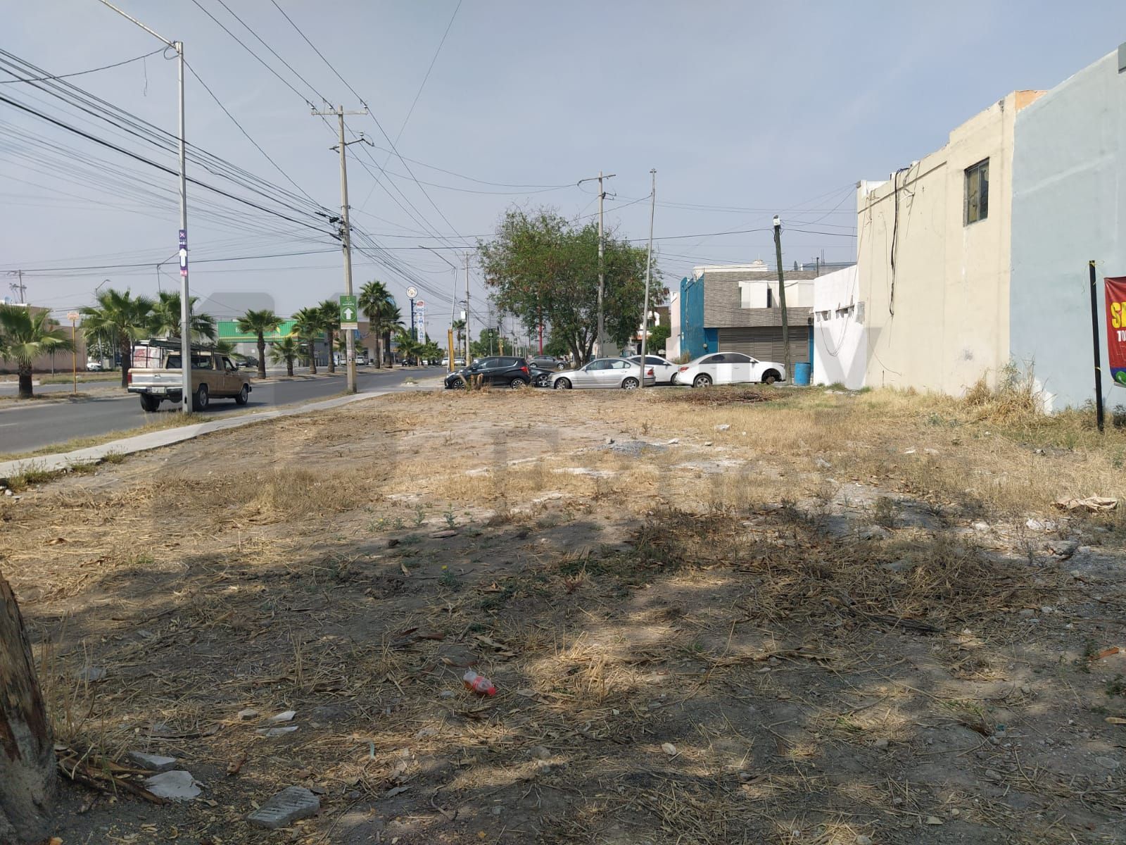 Terreno en Renta en Valle de las Palmas III