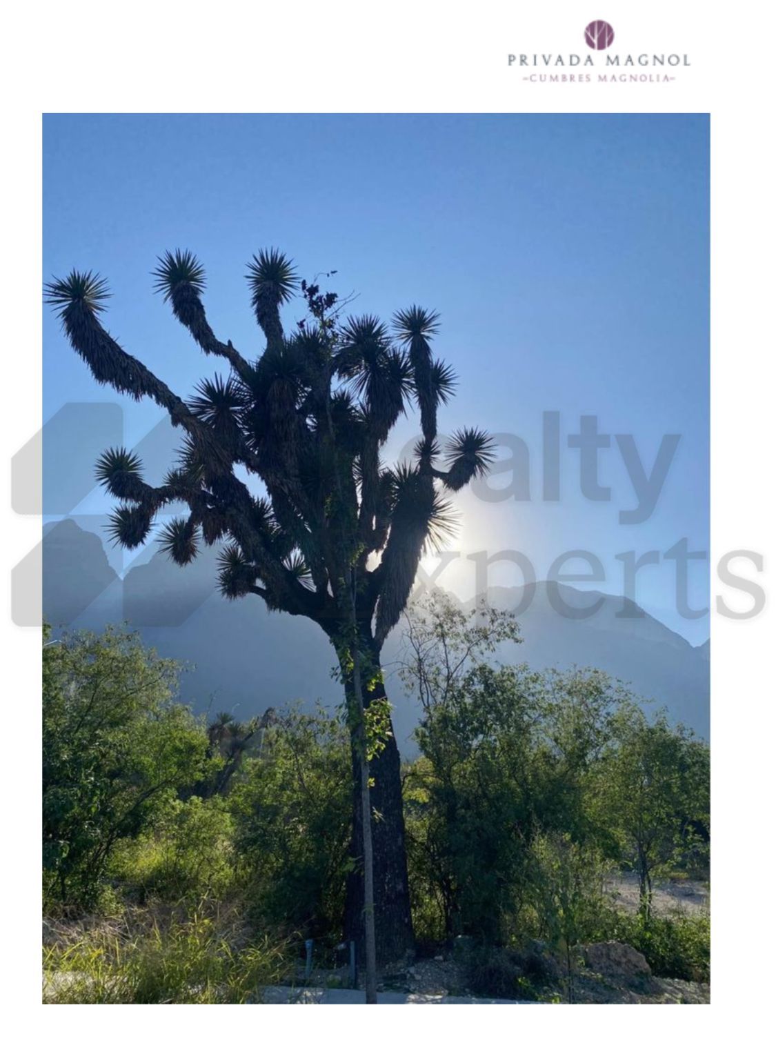 Terreno en Venta en Cumbres Mediterráneo