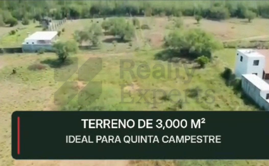 Terreno en Venta en Montemorelos