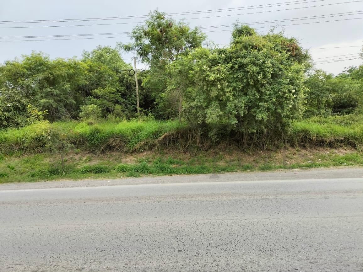 Terreno en Renta en Montebello