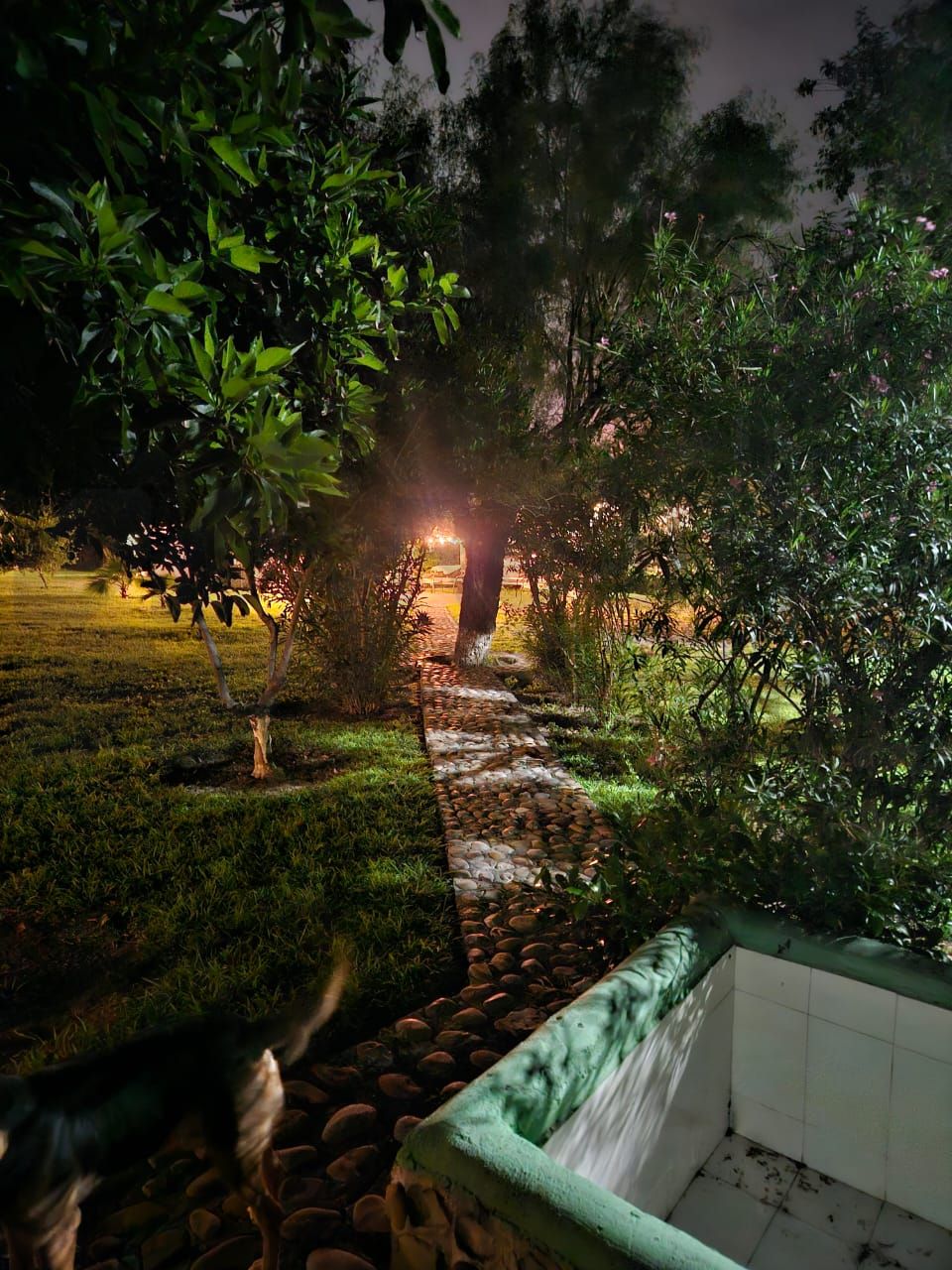 Rancho en Venta en Sabarado