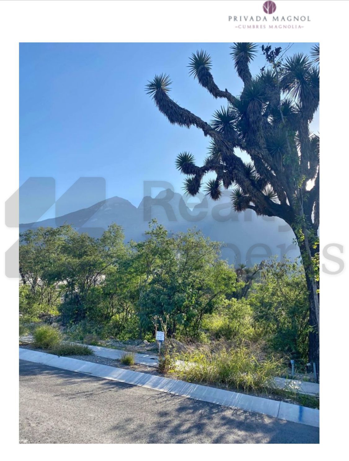 Terreno en Venta en Cumbres Mediterráneo