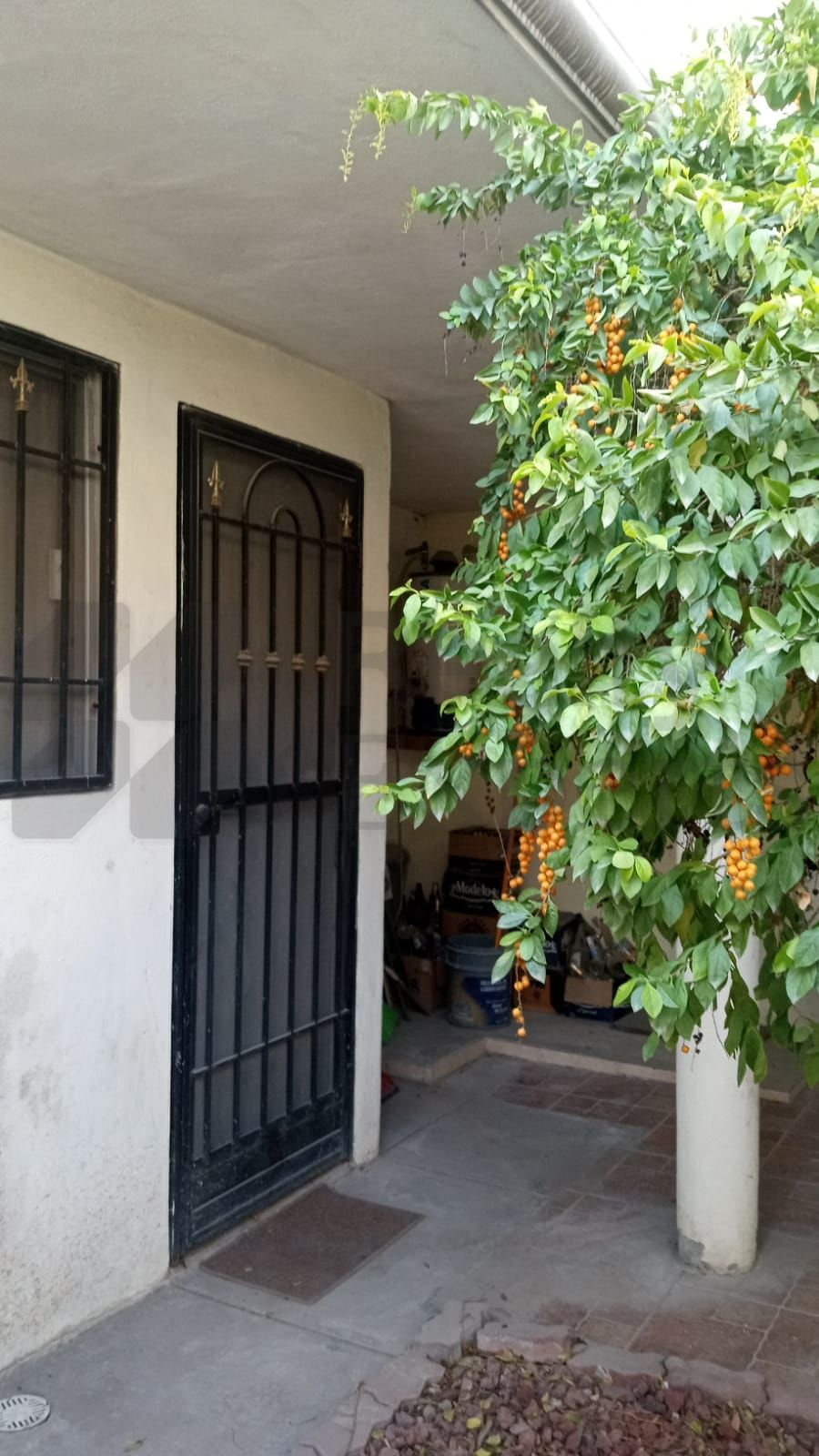 Casa en Renta en Santaluz