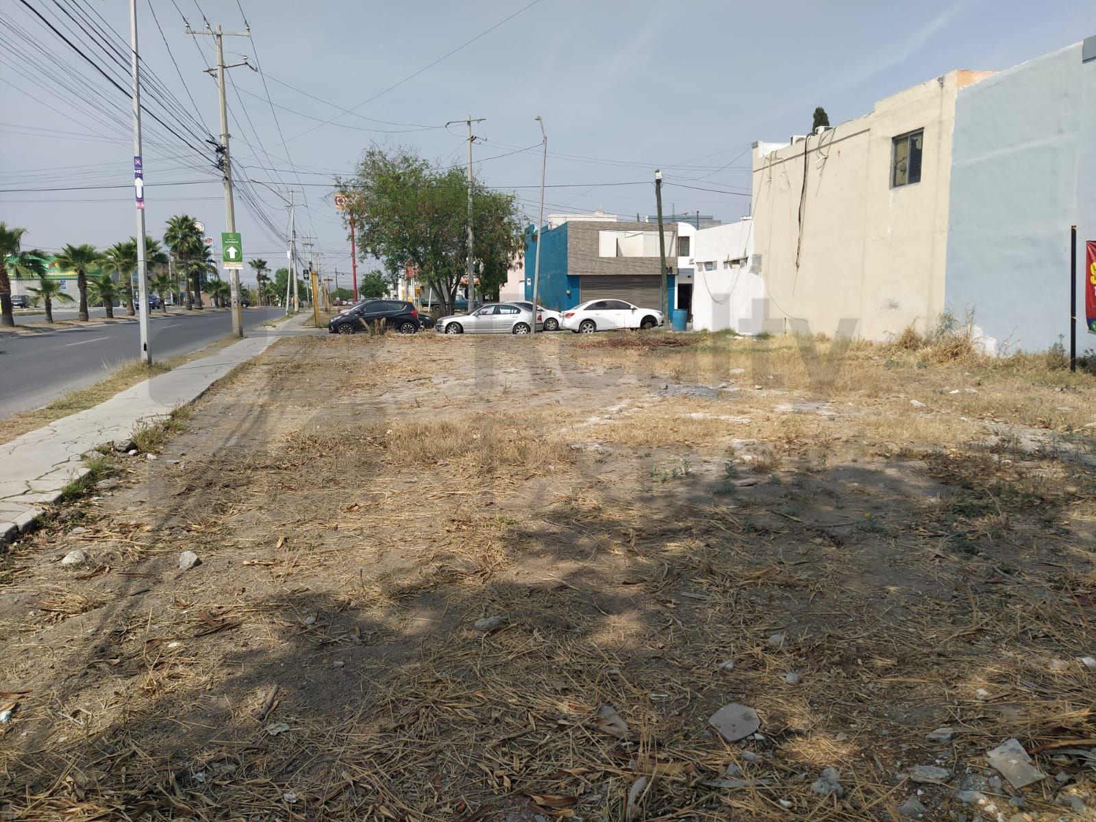 Terreno en Renta en Valle de las Palmas III