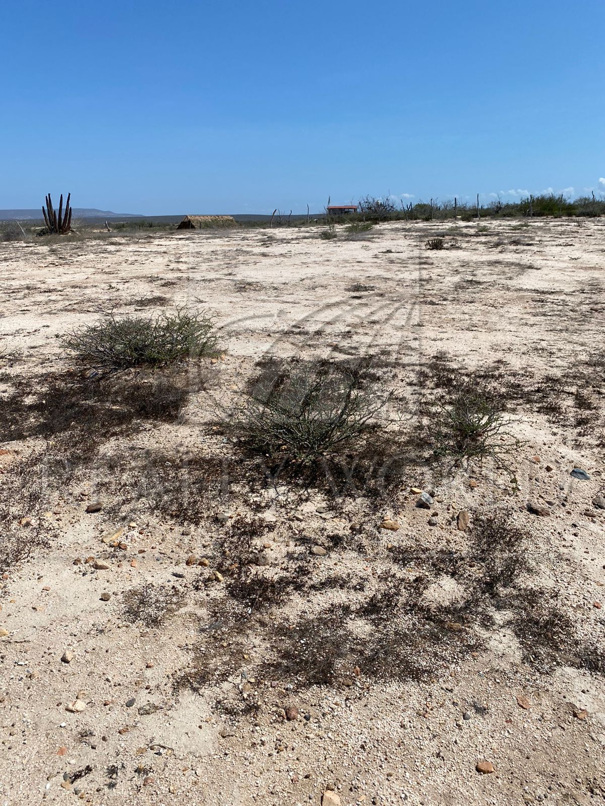 Terreno en Venta en La Ahorcadita