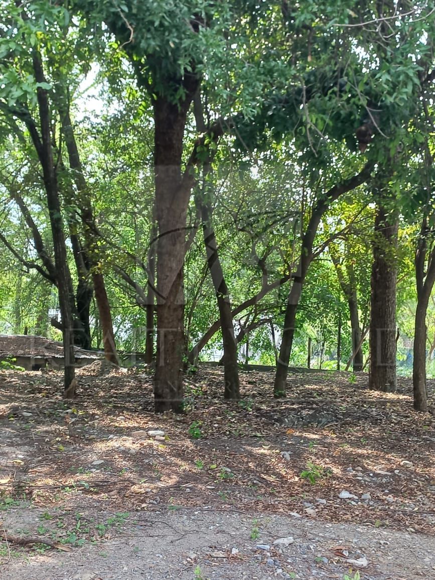 Terreno en Venta en El Cercado Centro