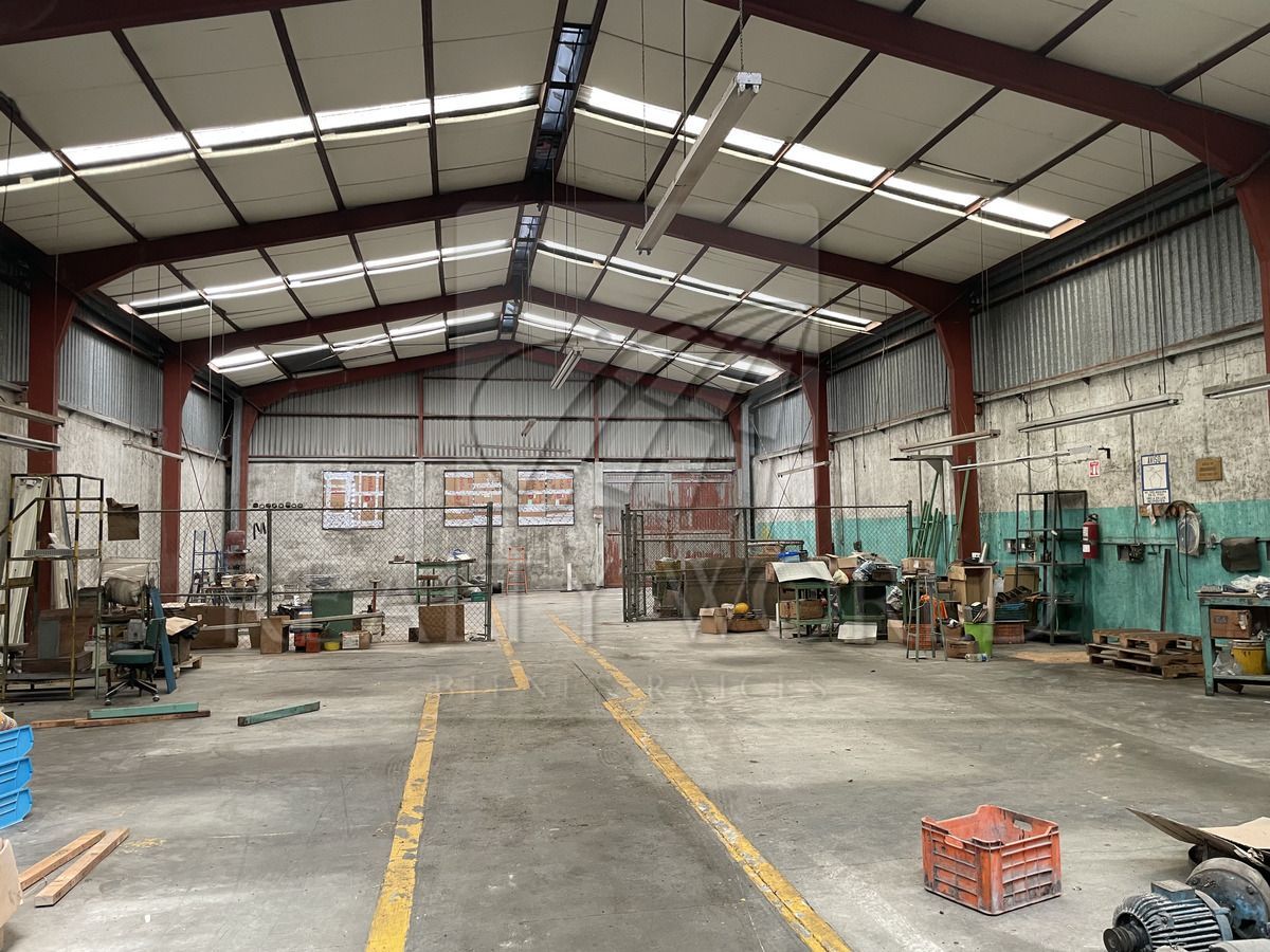 Bodega en Renta en Centro