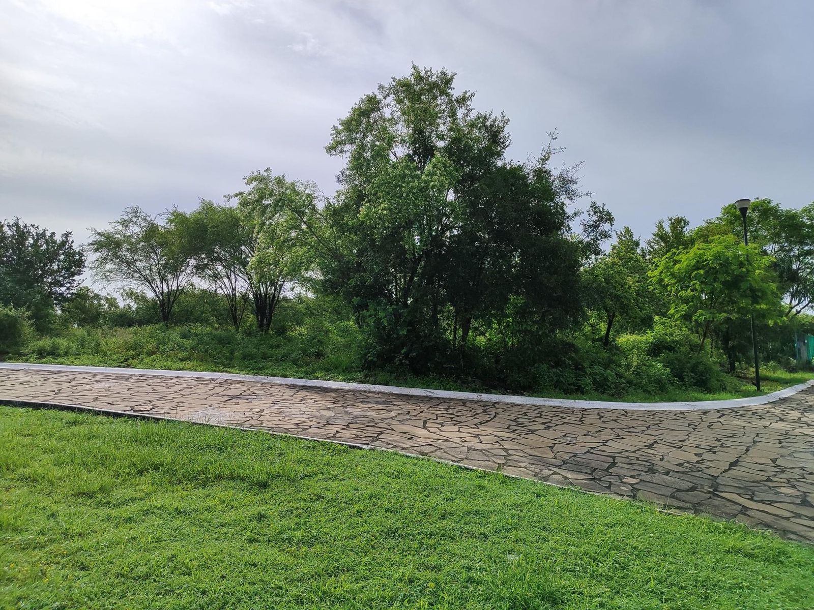 Terreno en Venta en FRACCIONAMIENTO EL CIELO