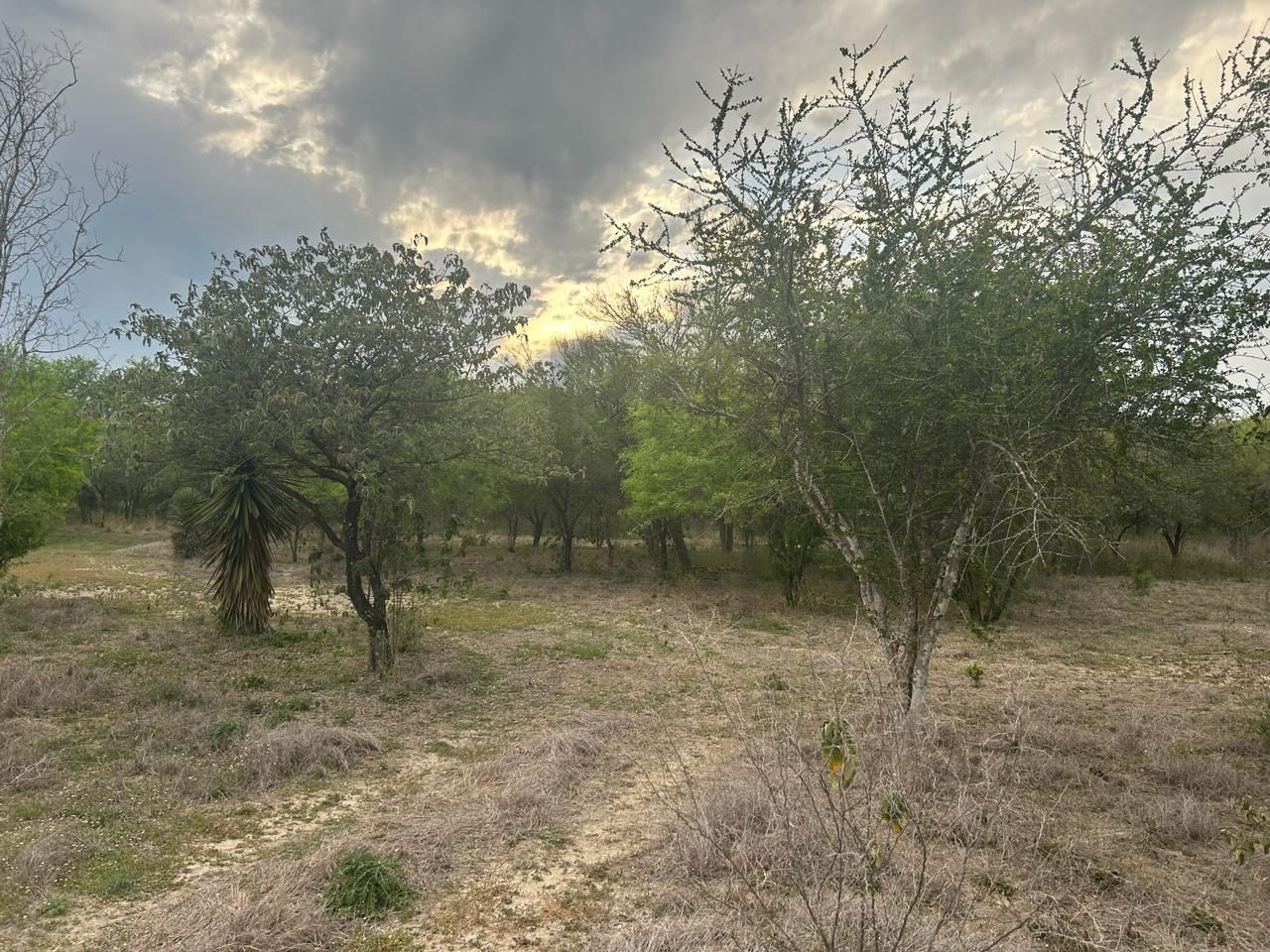 Quinta en Venta en La Petaca