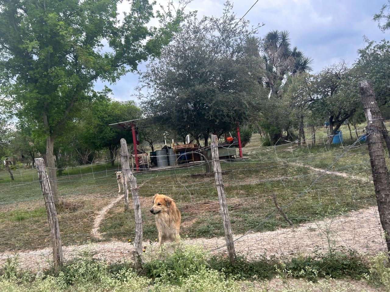 Quinta en Venta en La Petaca