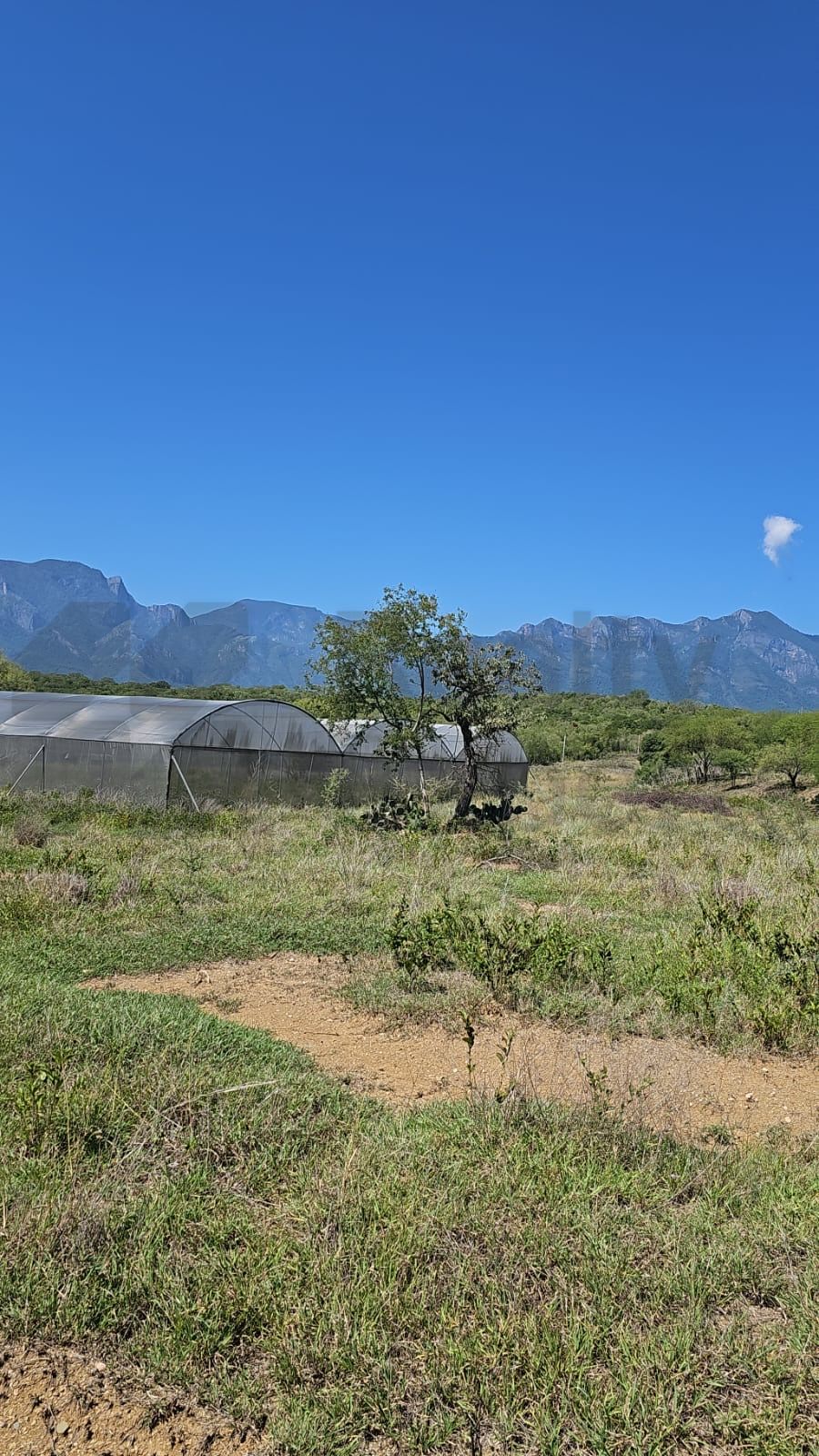 Rancho en Venta en Linares
