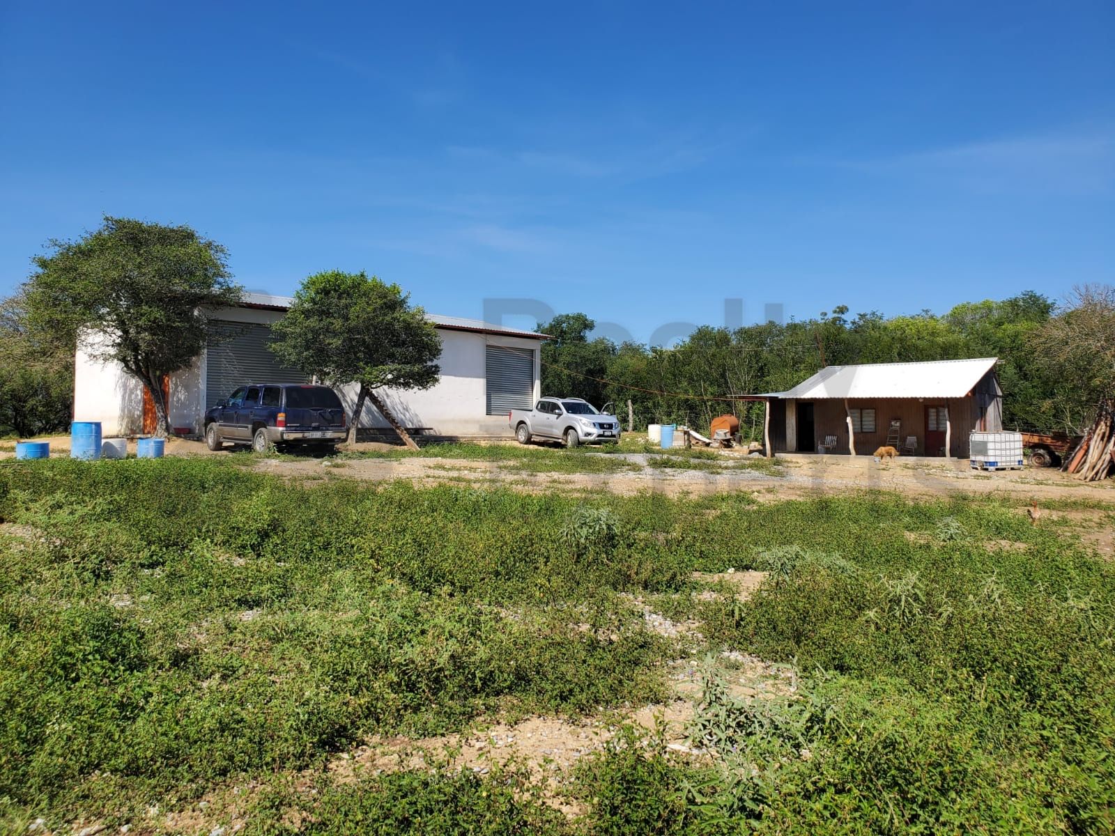 Rancho en Venta en Linares