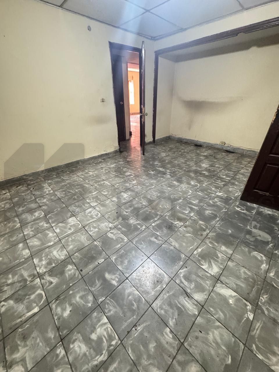 Local en Renta en Centro Historico Linares