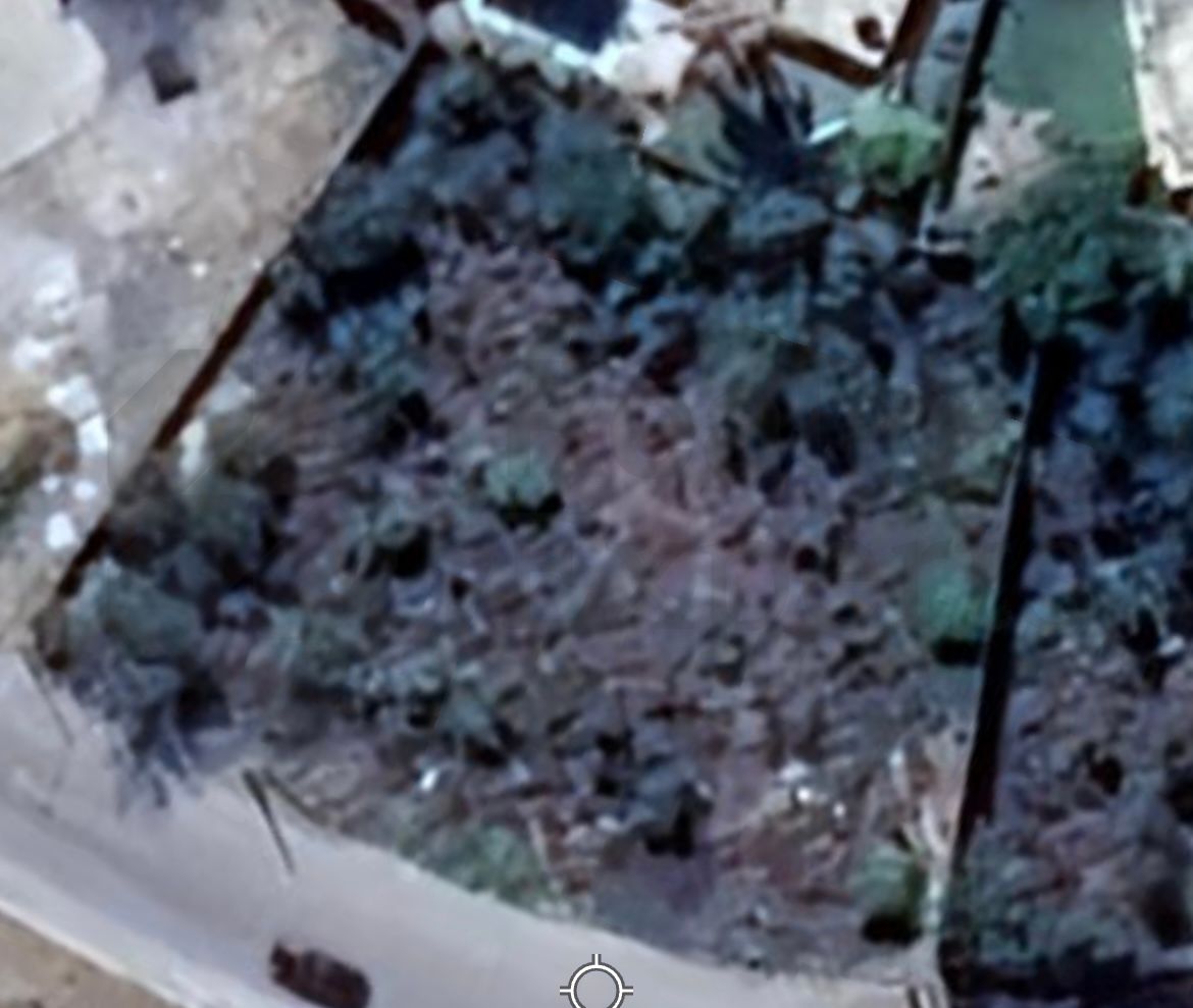 Terreno en Renta en Los Naranjos