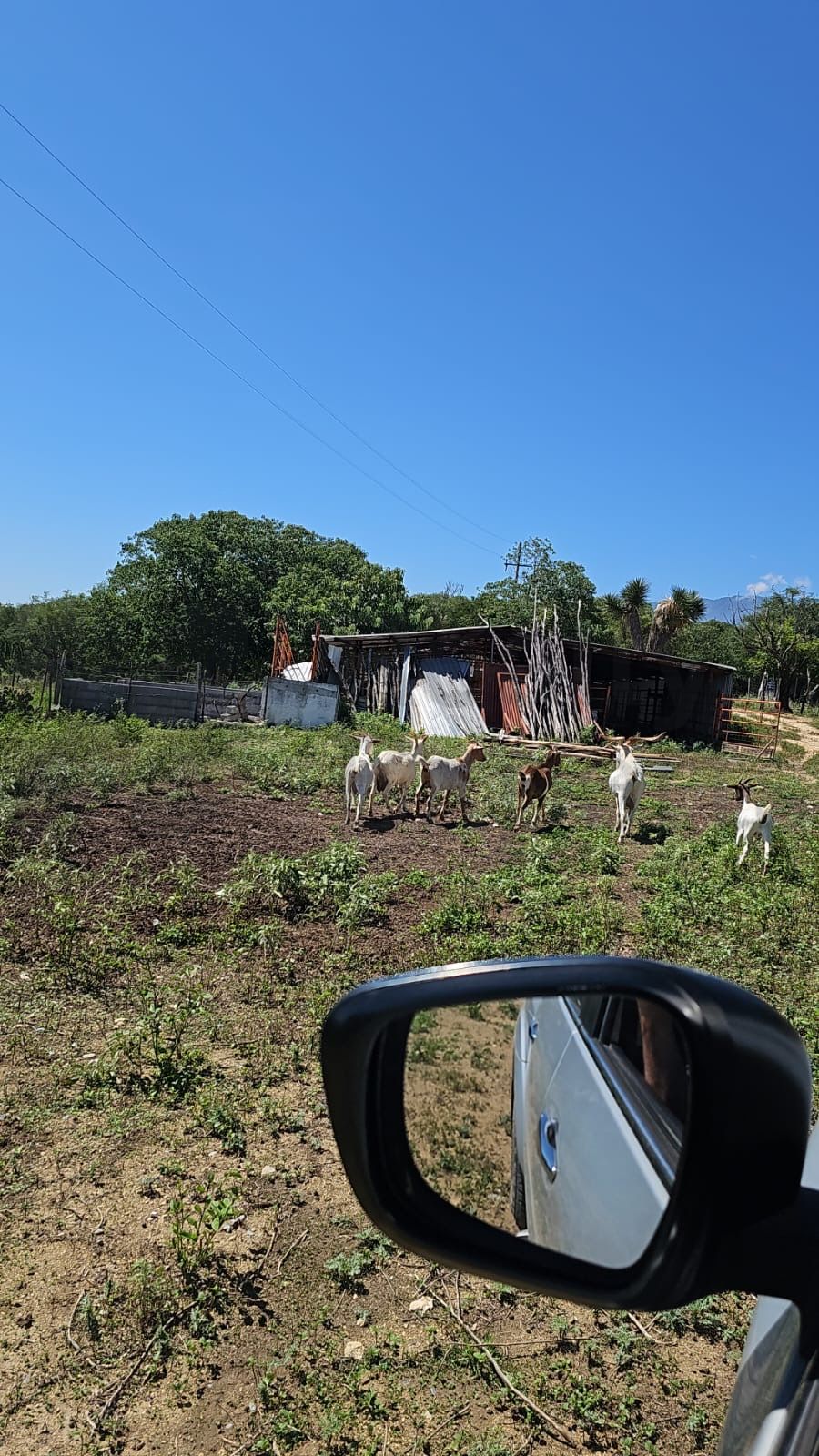 Rancho en Venta en Linares