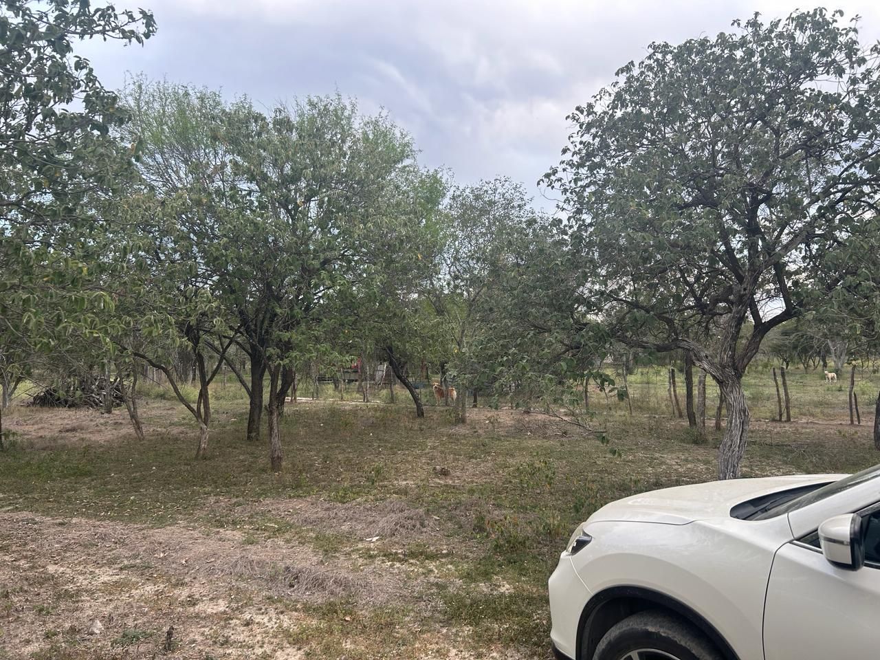 Quinta en Venta en La Petaca