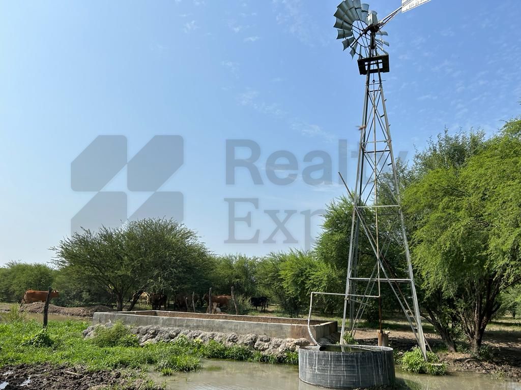 Rancho en Venta en Linares