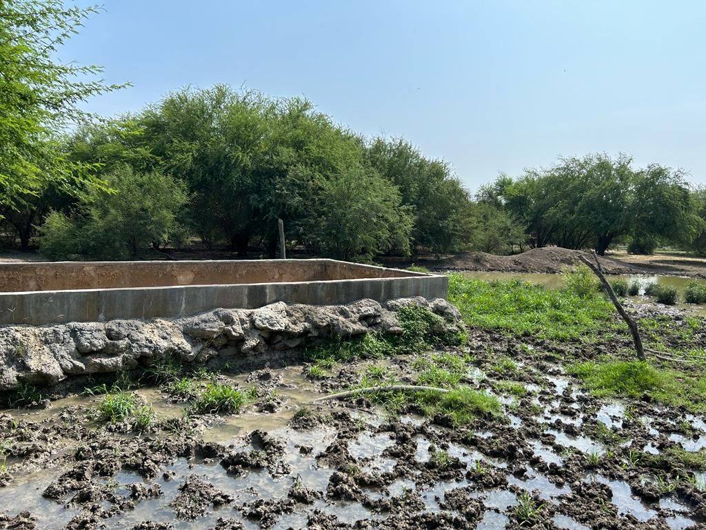 Rancho en Venta en Linares