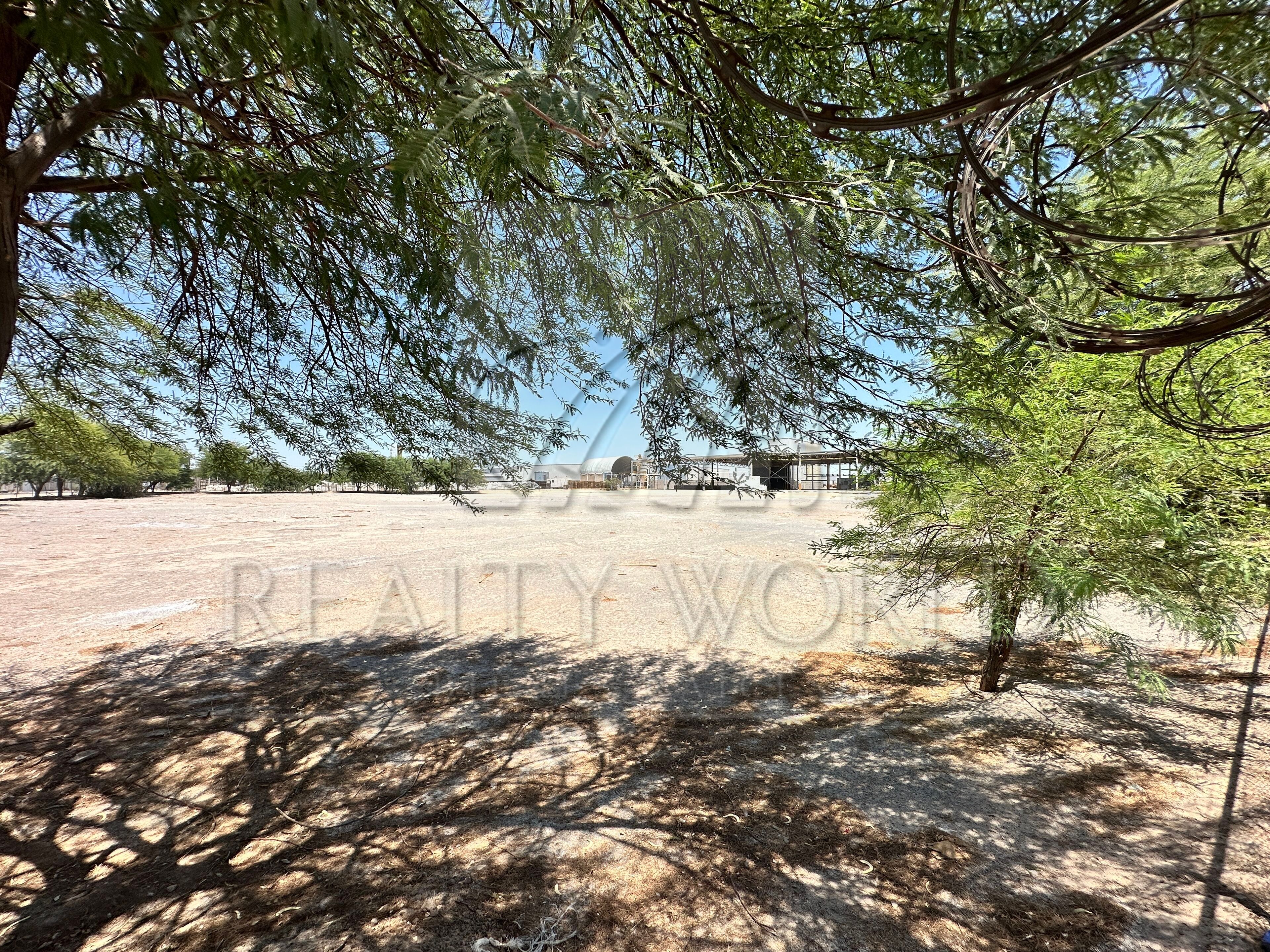 Terreno en Venta en Wisteria