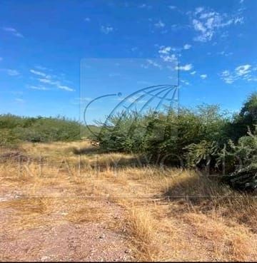 Terreno en Venta en Sin Colonia