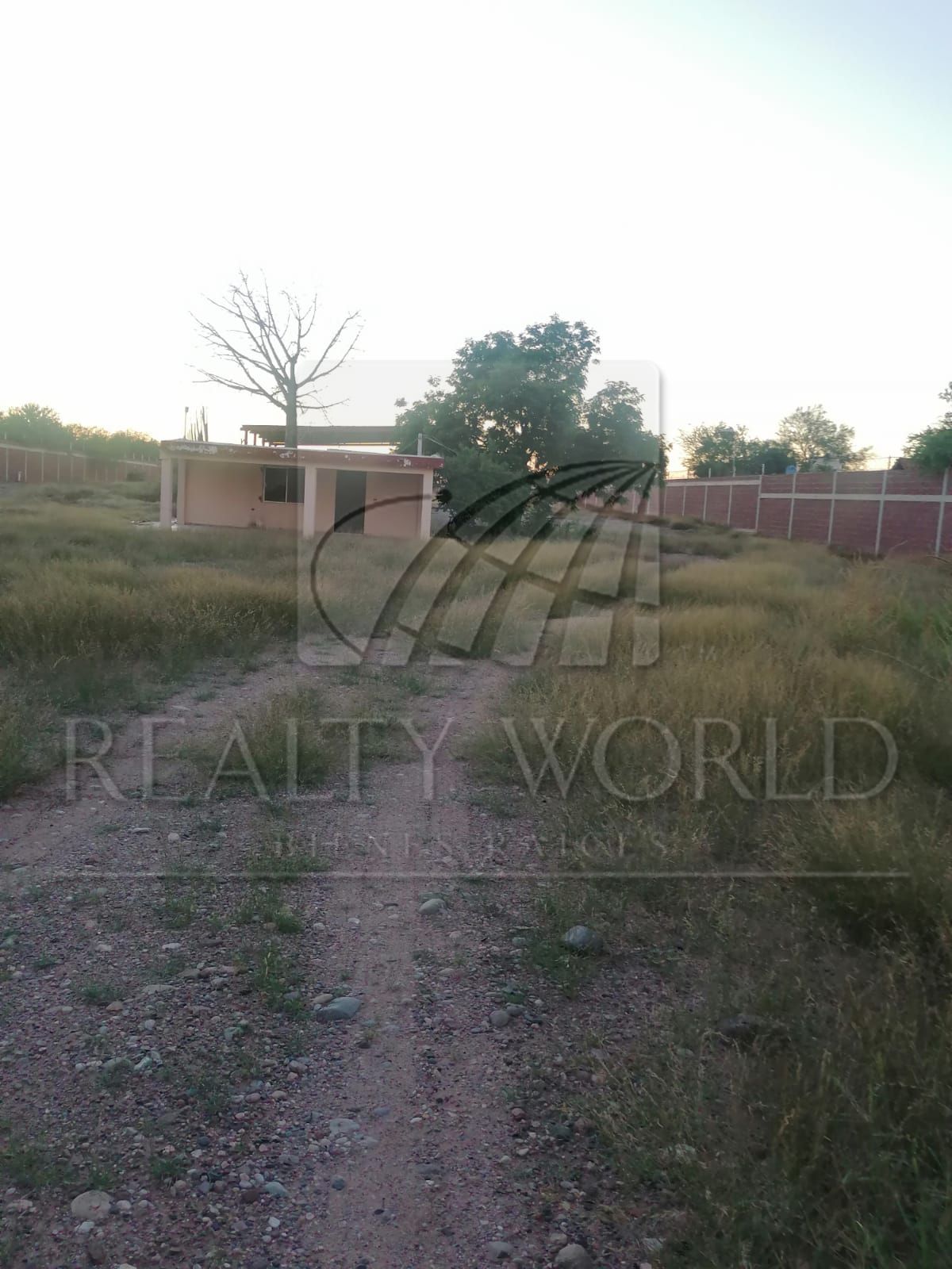 Terreno en Venta en Sin Colonia