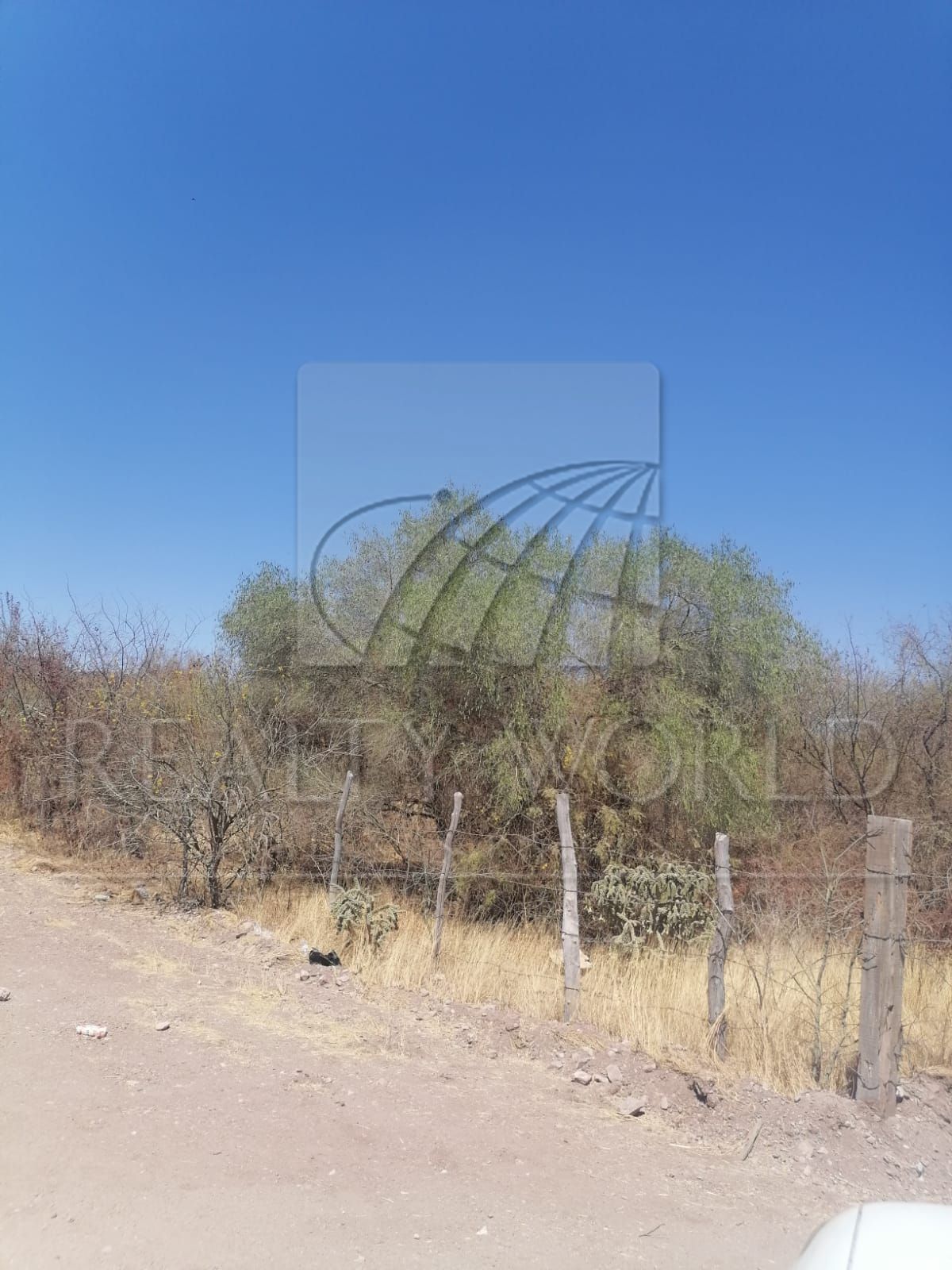 Terreno en Venta en Sin Colonia