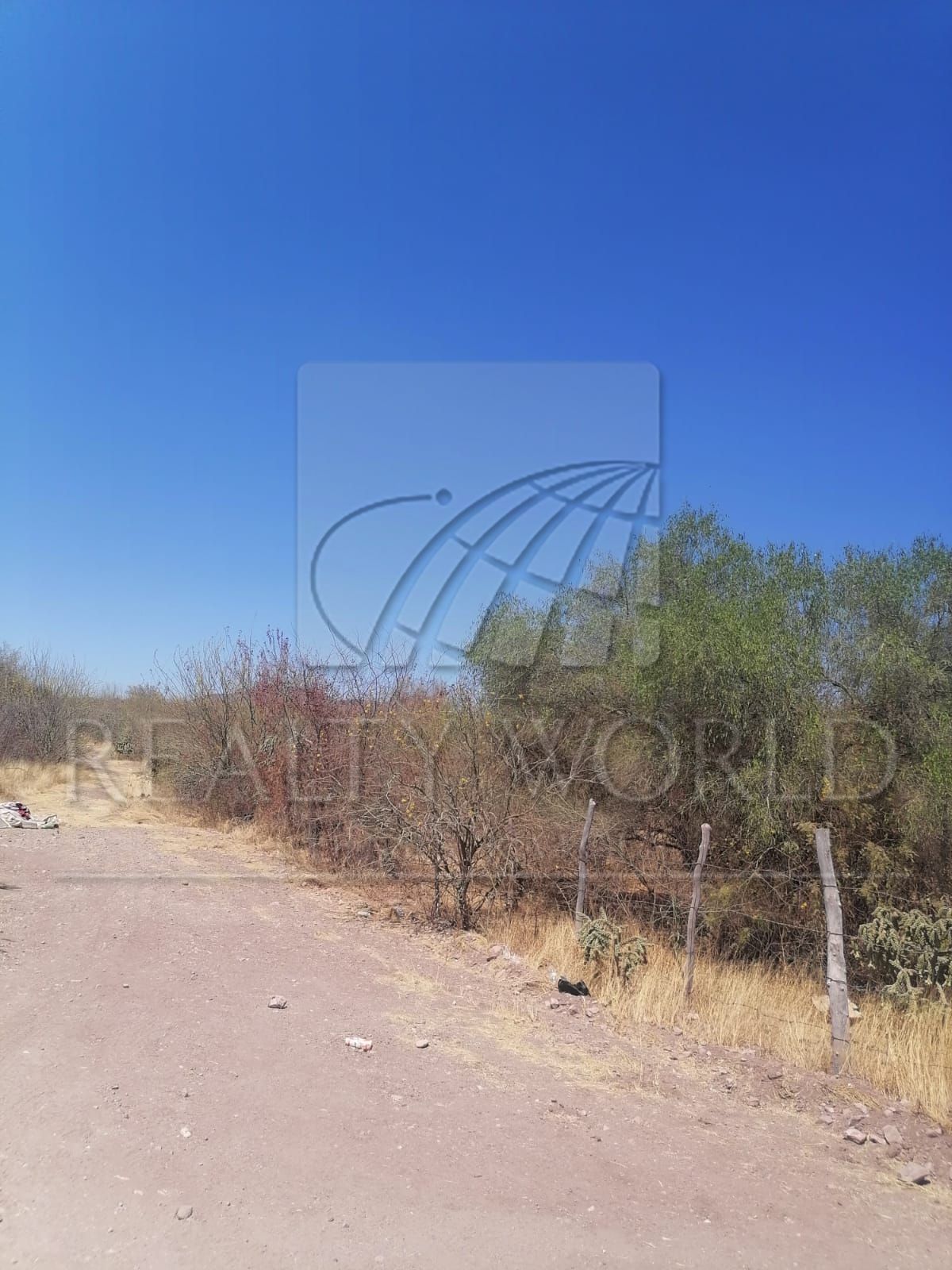 Terreno en Venta en Sin Colonia