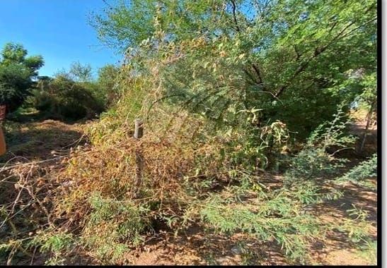 Terreno en Venta en Sin Colonia