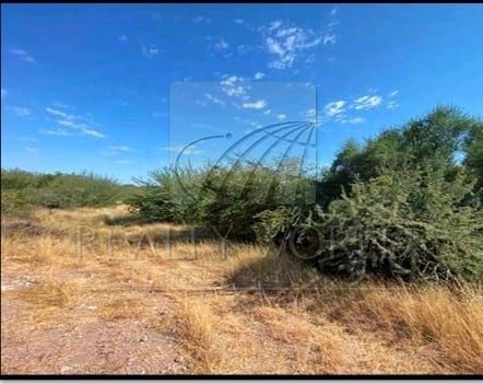 Terreno en Venta en Sin Colonia