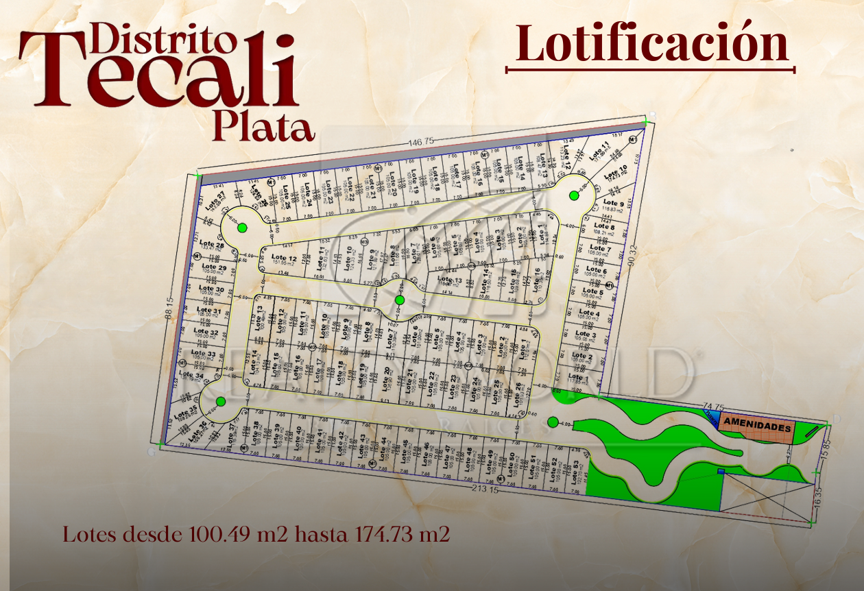 Terreno en Venta en DISTRITO TECALI PLATA
