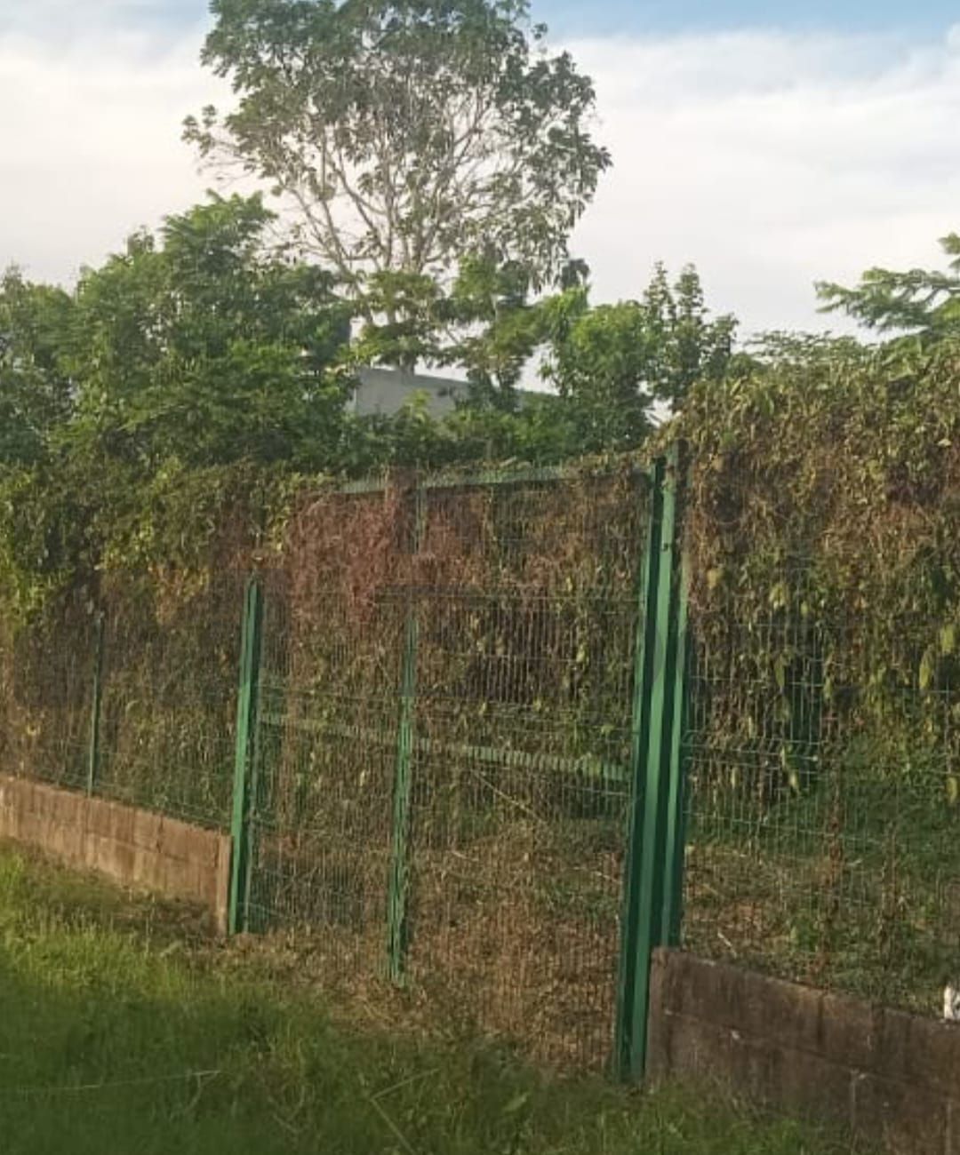 Terreno en Venta en El Cedro