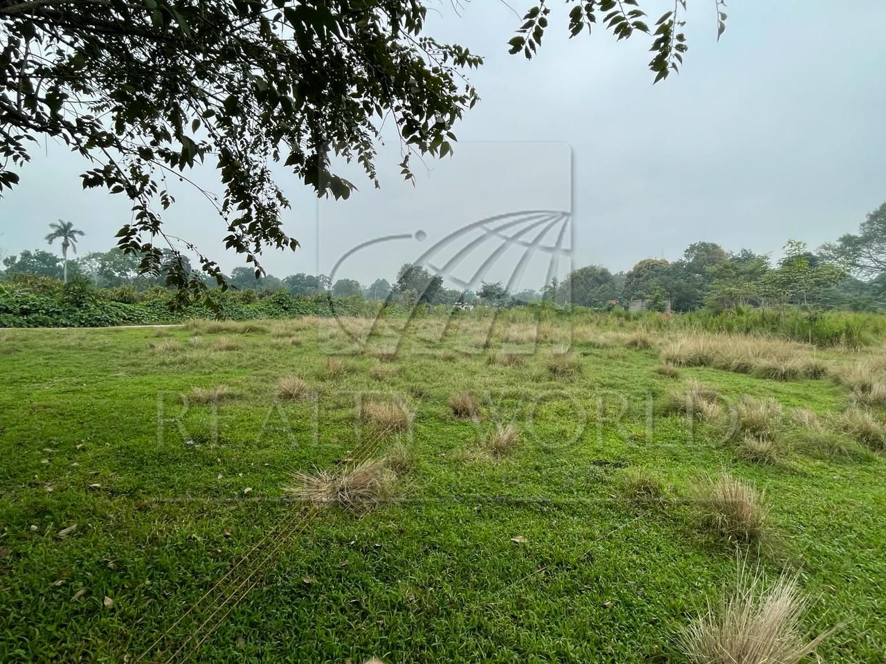 Terreno en Venta en Plátano y Cacao 4ta. Sección