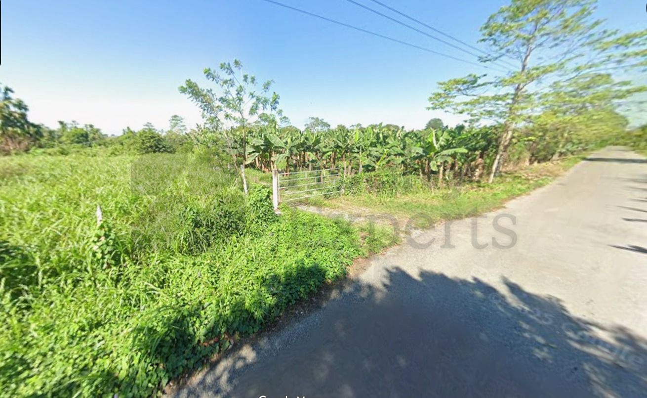 Terreno en Venta en Plátano y Cacao 3a Secc