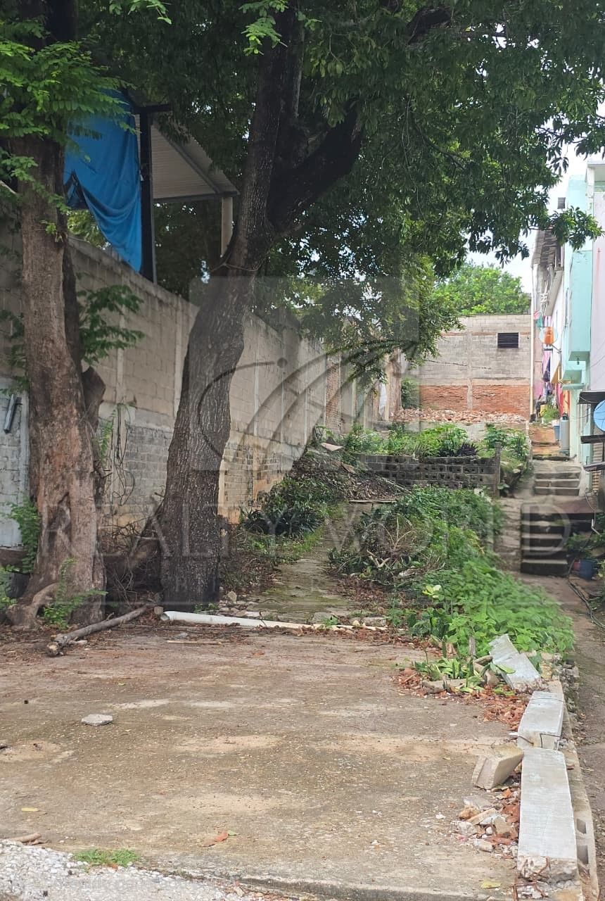 Terreno en Venta en Avenida Cesar Sandino