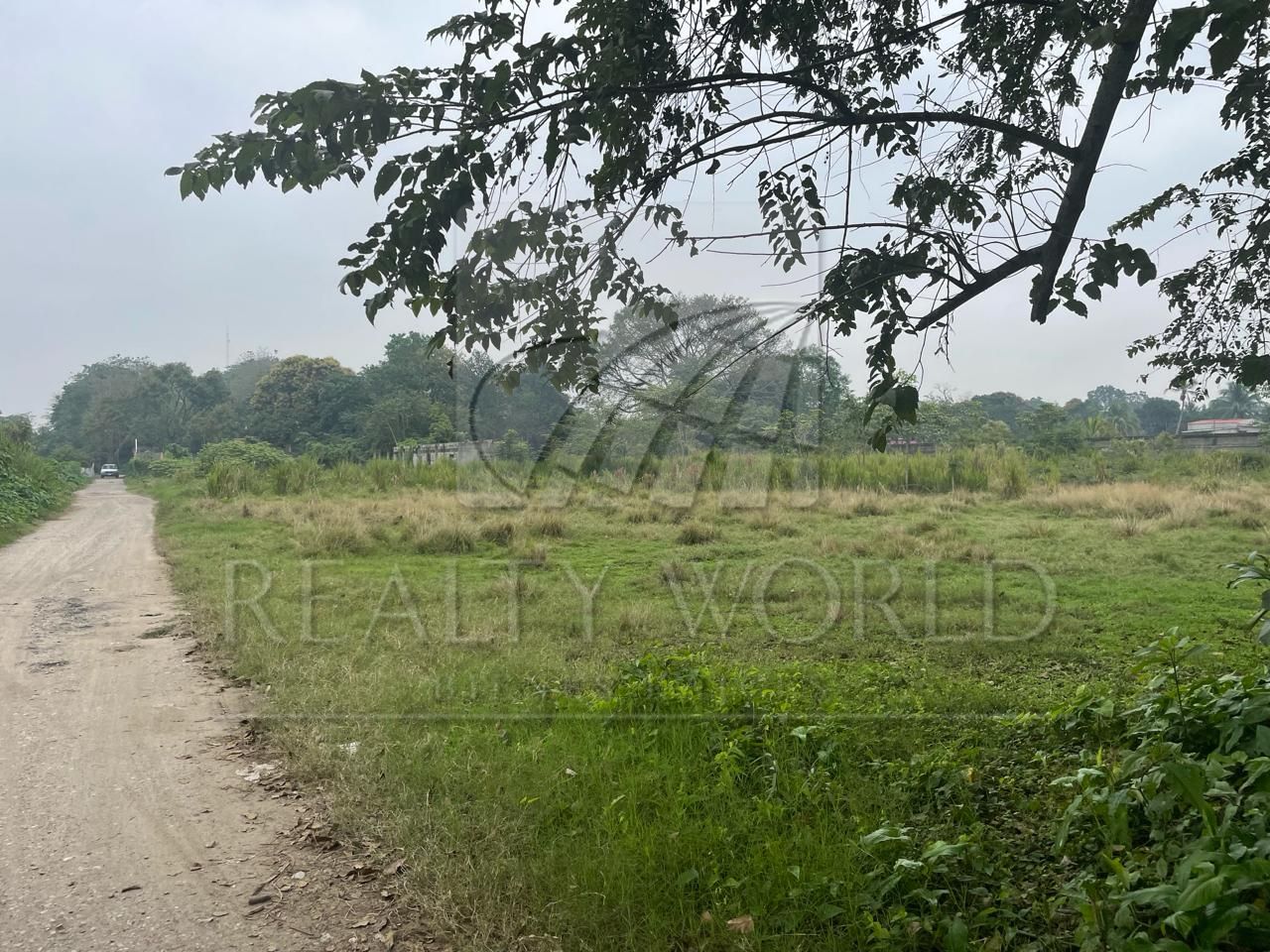 Terreno en Venta en Plátano y Cacao 4ta. Sección