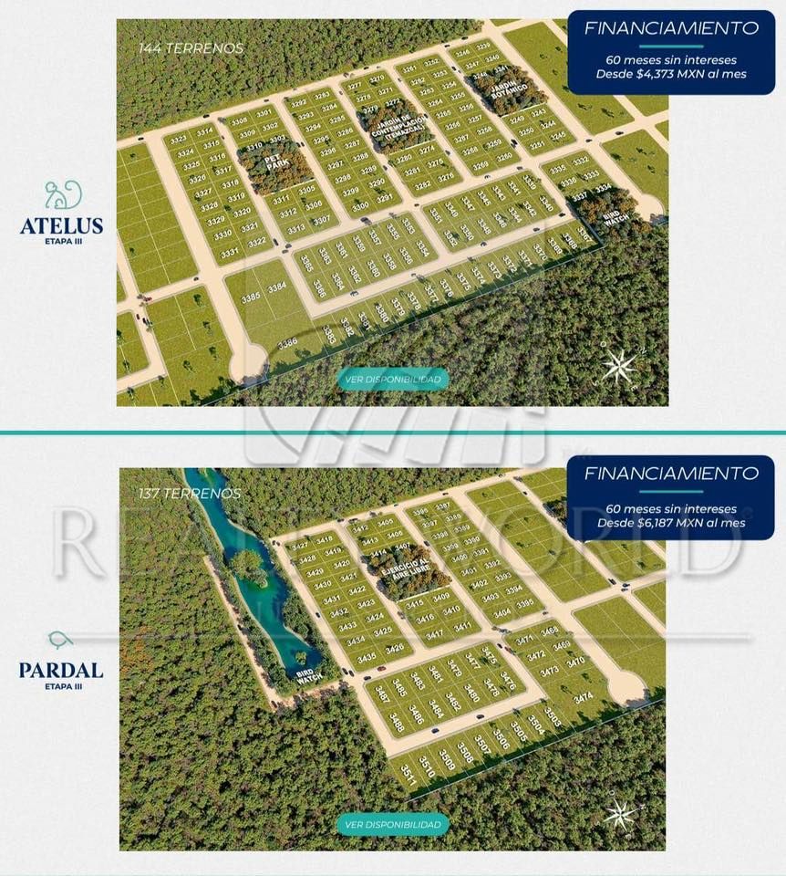 Terreno en Venta en Celestún