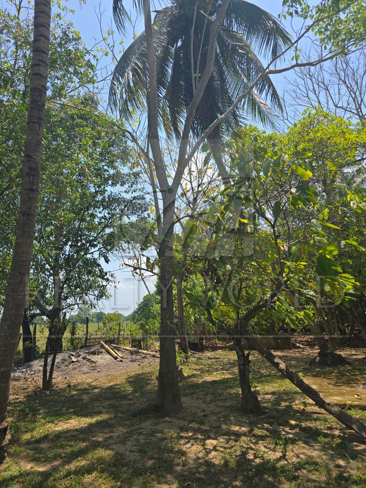 Terreno en Venta en Sargento López 3ra. Sección (San Jorge)
