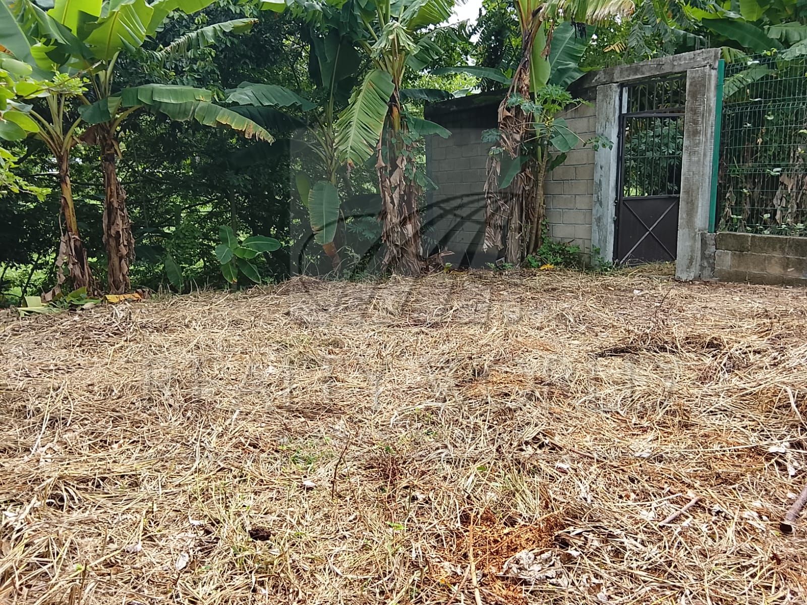 Terreno en Venta en El Cedro