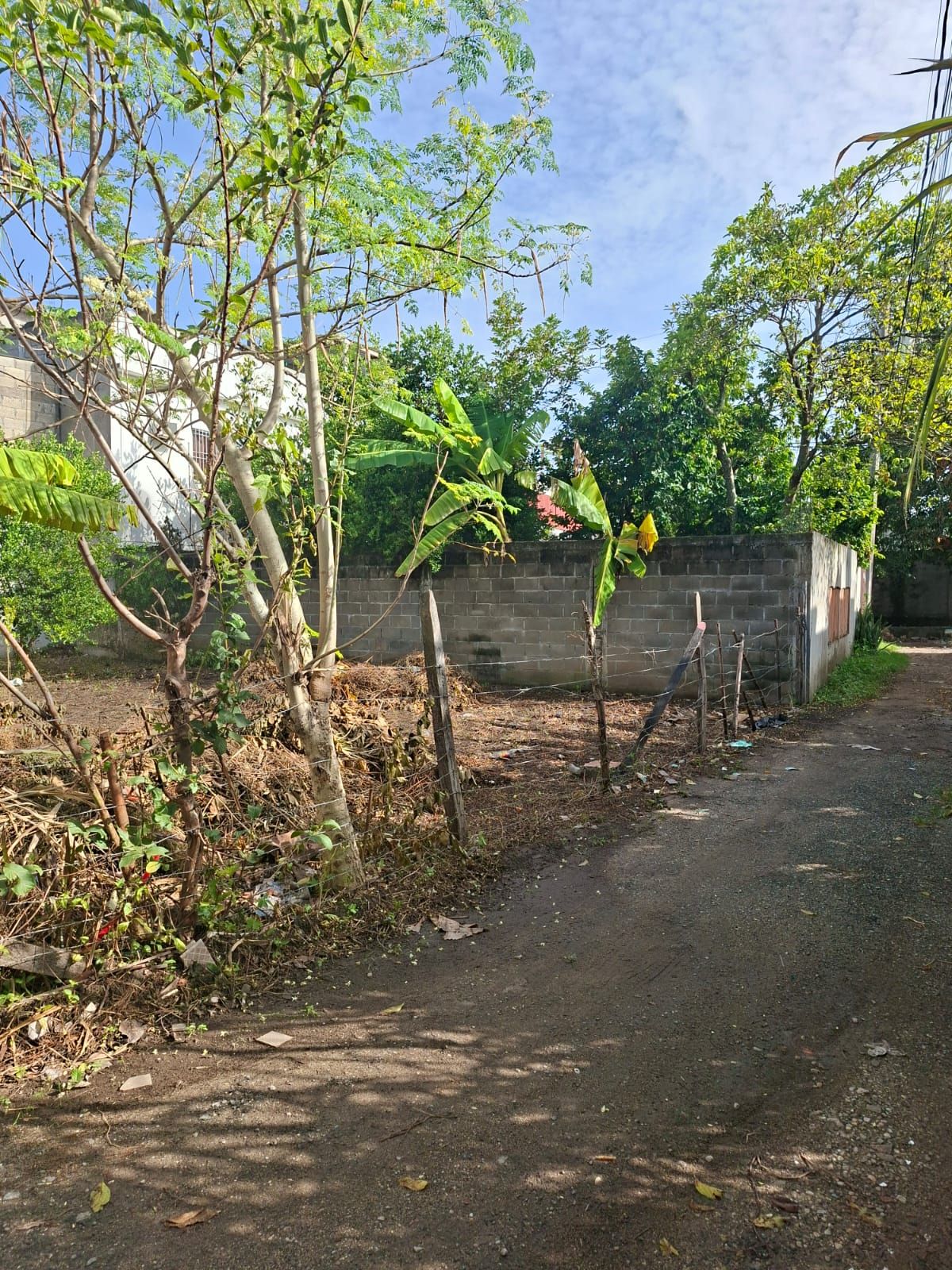 Terreno en Venta en CENTRO